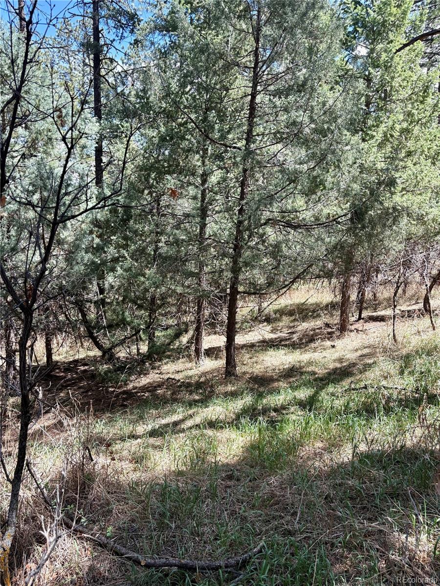 8200 Acoma Drive Larkspur CO 80118