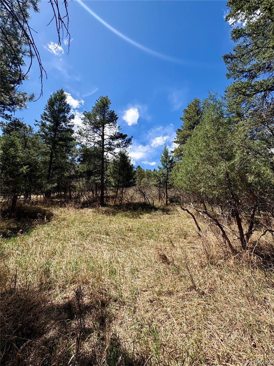8200 Acoma Drive Larkspur CO 80118