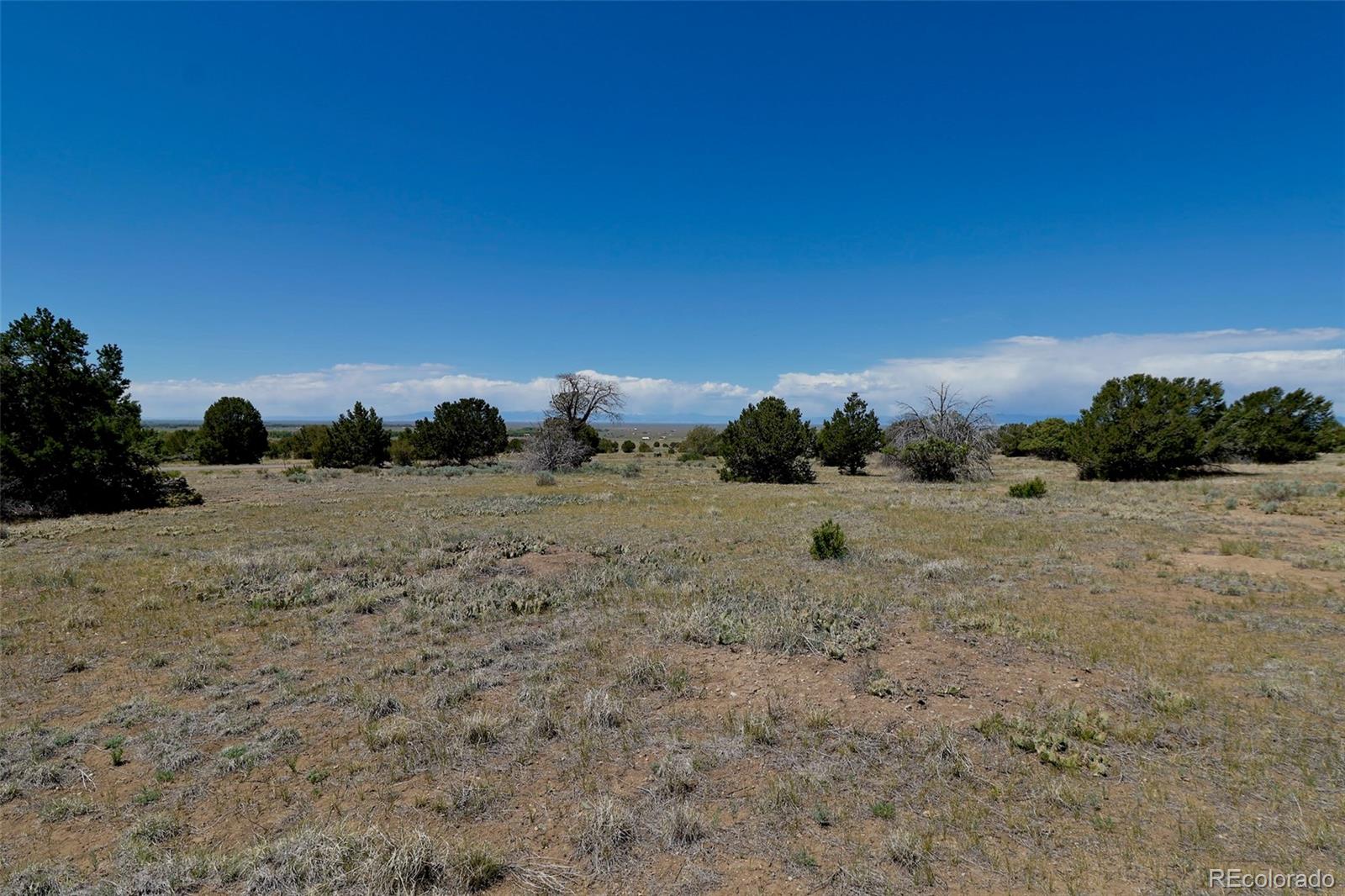 1515 Wagon Wheel Road Crestone CO 81131