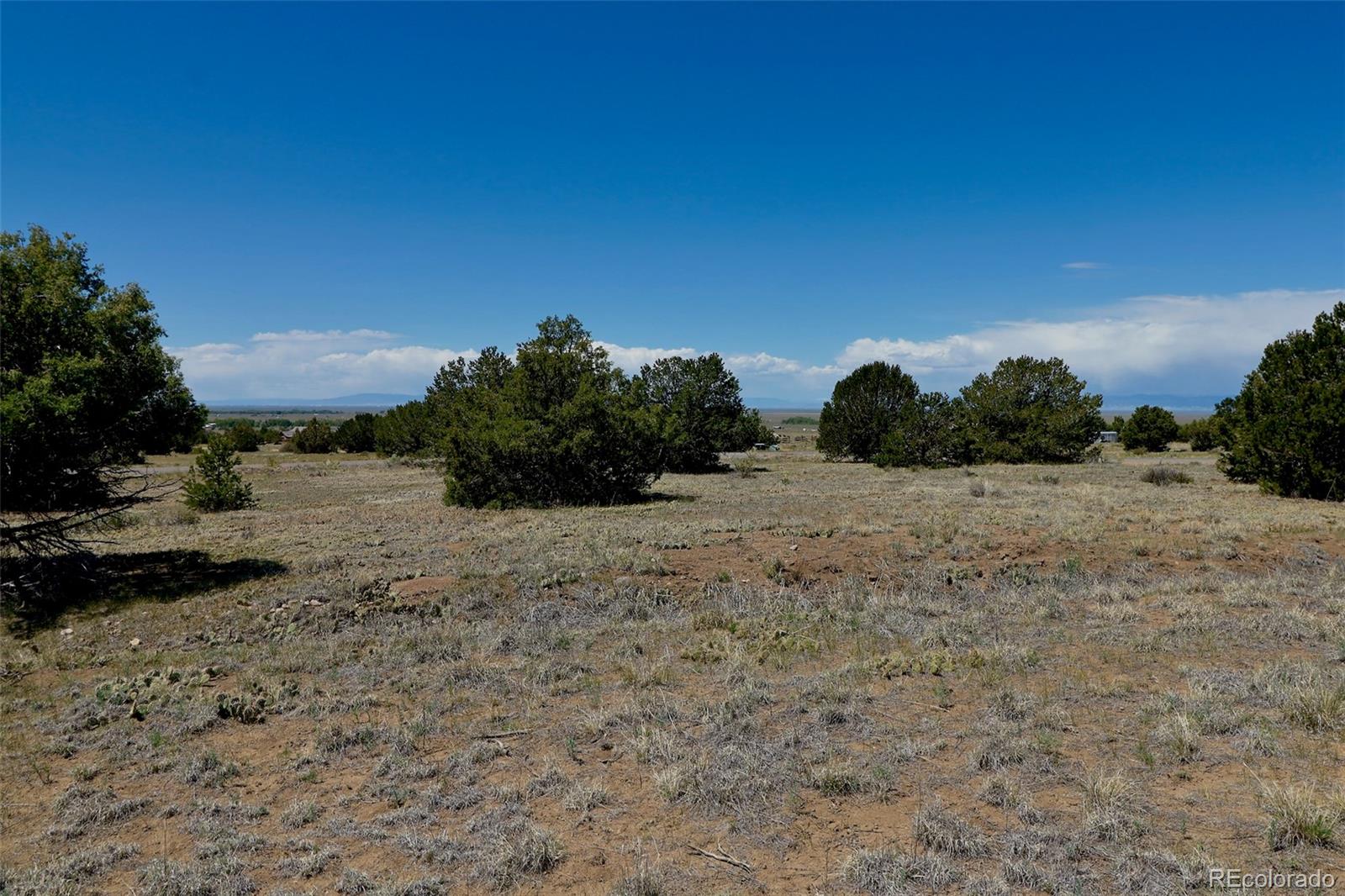1515 Wagon Wheel Road Crestone CO 81131