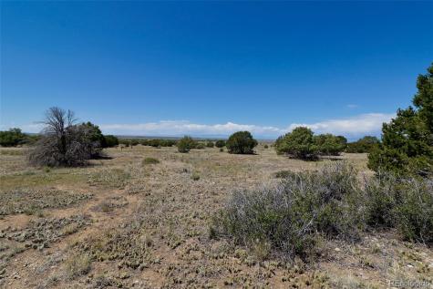 1515 Wagon Wheel Road Crestone CO 81131