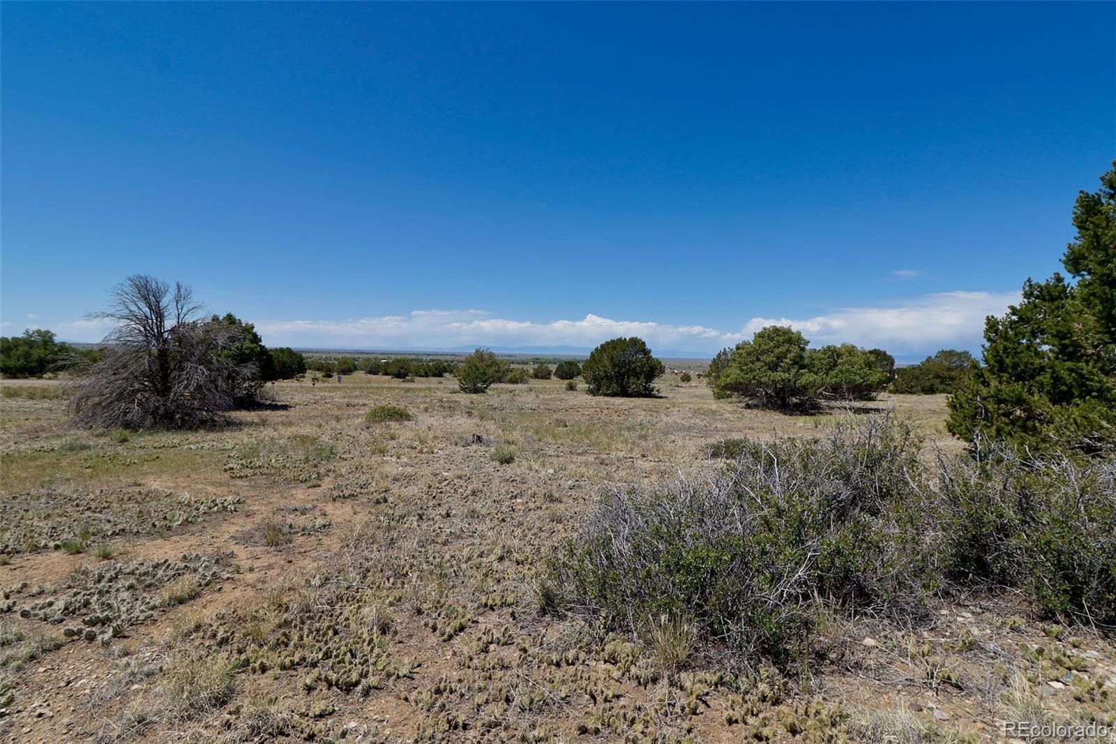 1515 Wagon Wheel Road Crestone CO 81131