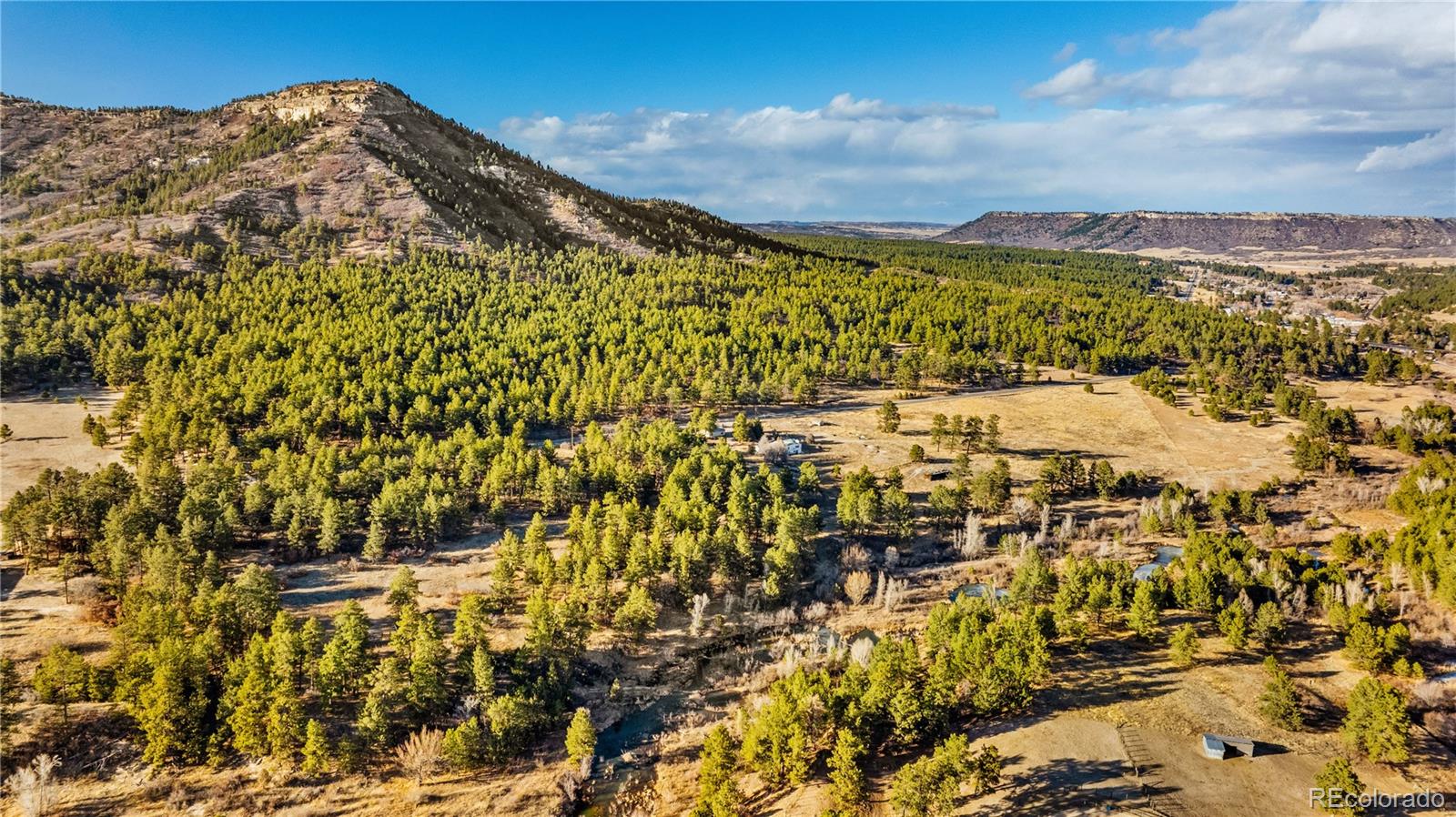 436 Fox Farm Road Larkspur CO 80118