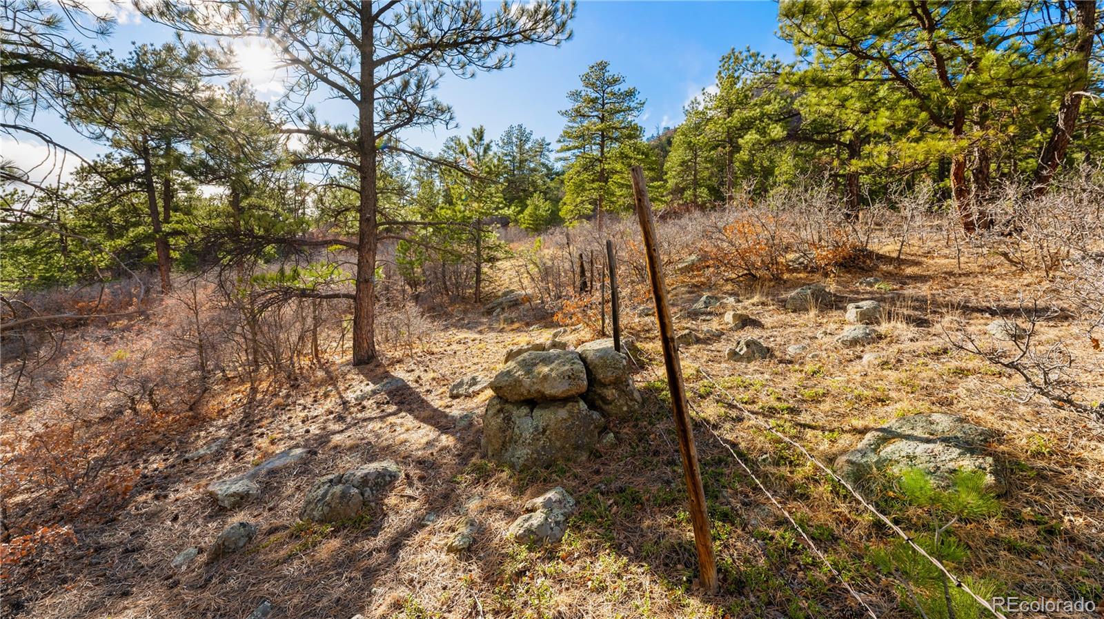 436 Fox Farm Road Larkspur CO 80118