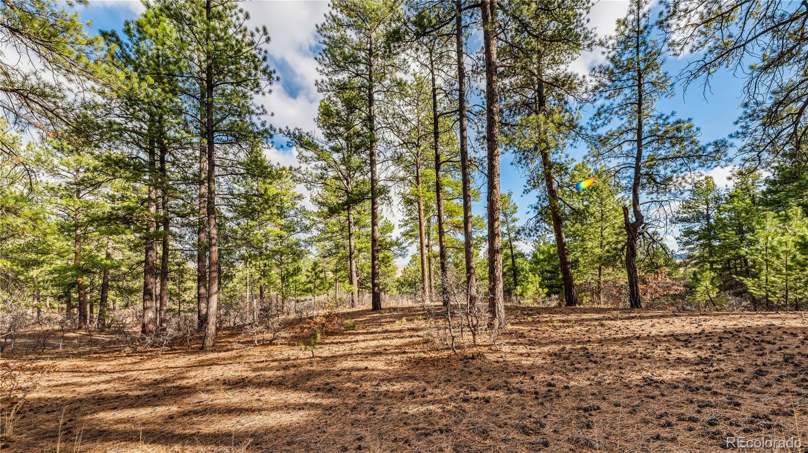 436 Fox Farm Road Larkspur CO 80118