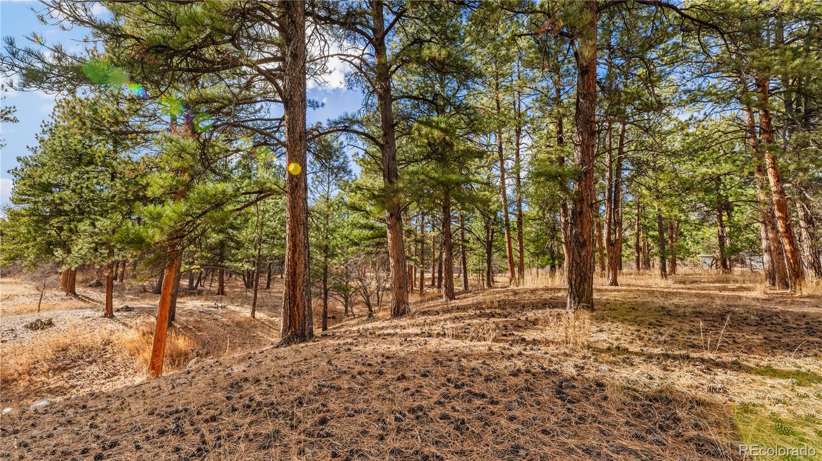 436 Fox Farm Road Larkspur CO 80118