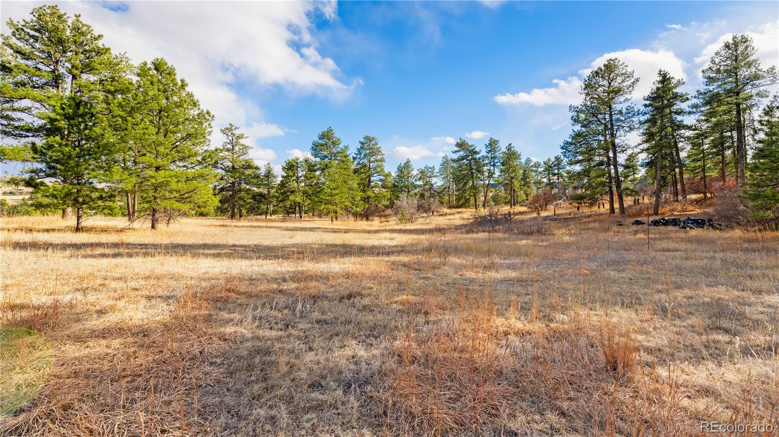 436 Fox Farm Road Larkspur CO 80118
