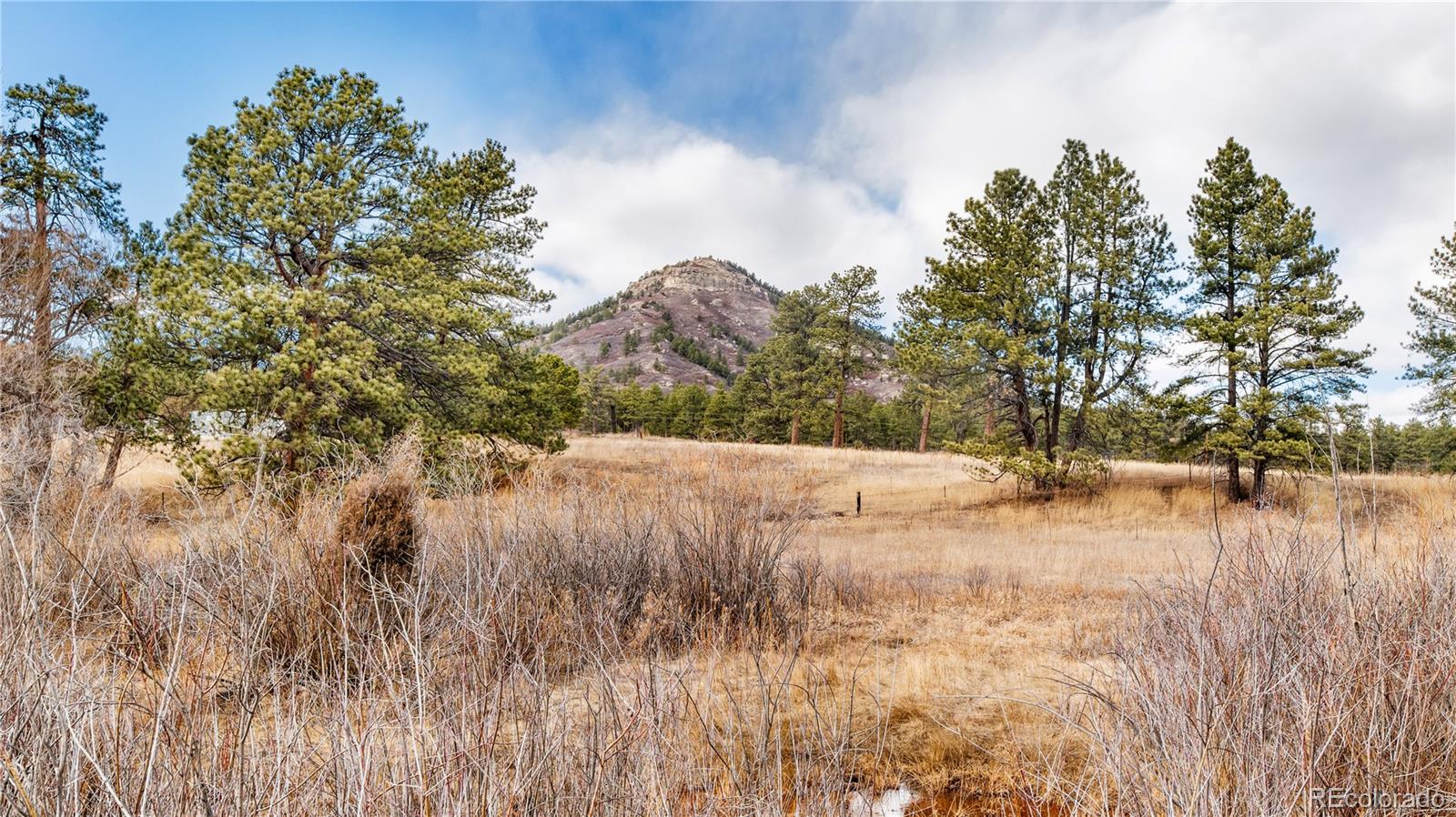 436 Fox Farm Road Larkspur CO 80118