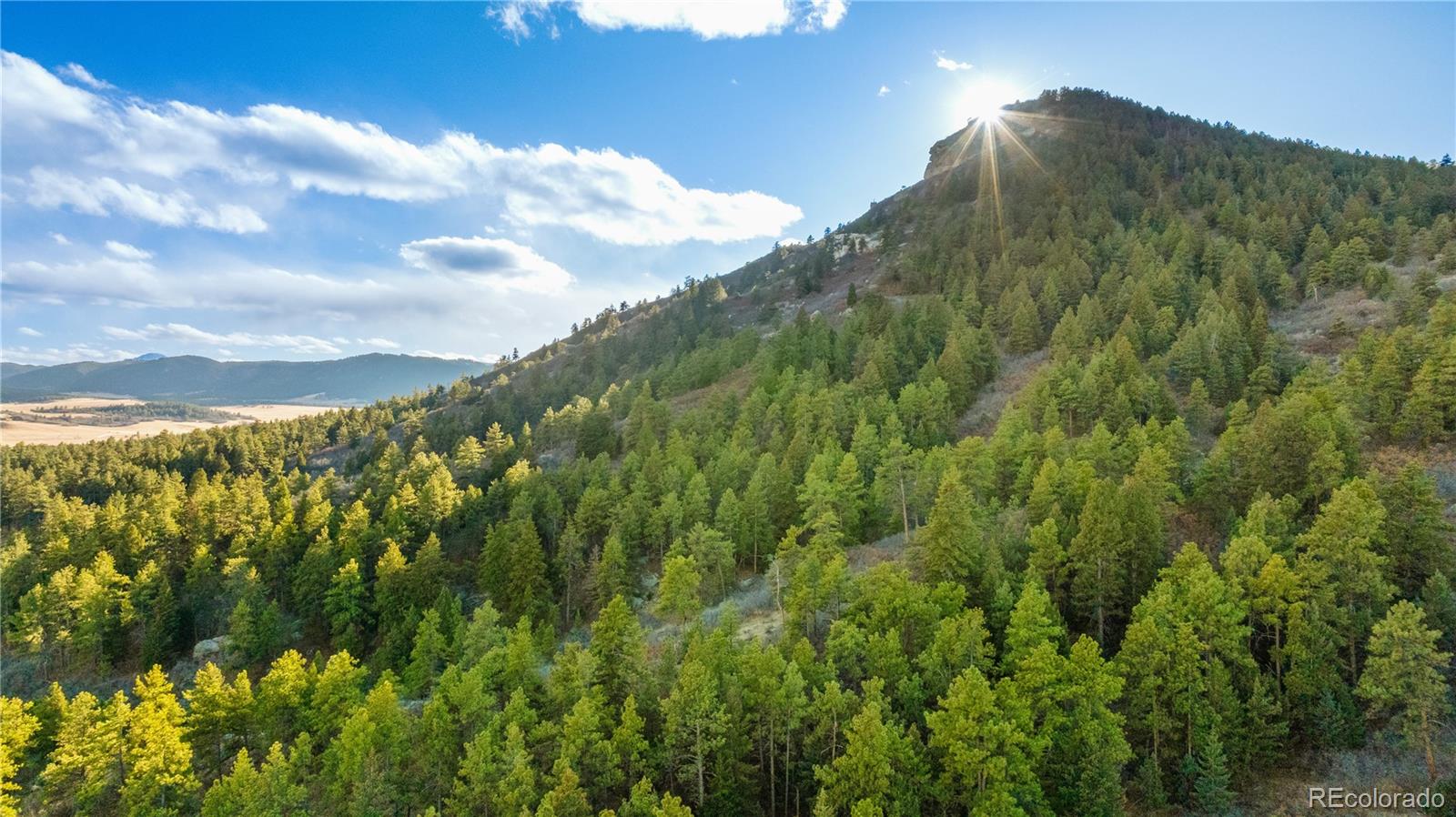436 Fox Farm Road Larkspur CO 80118