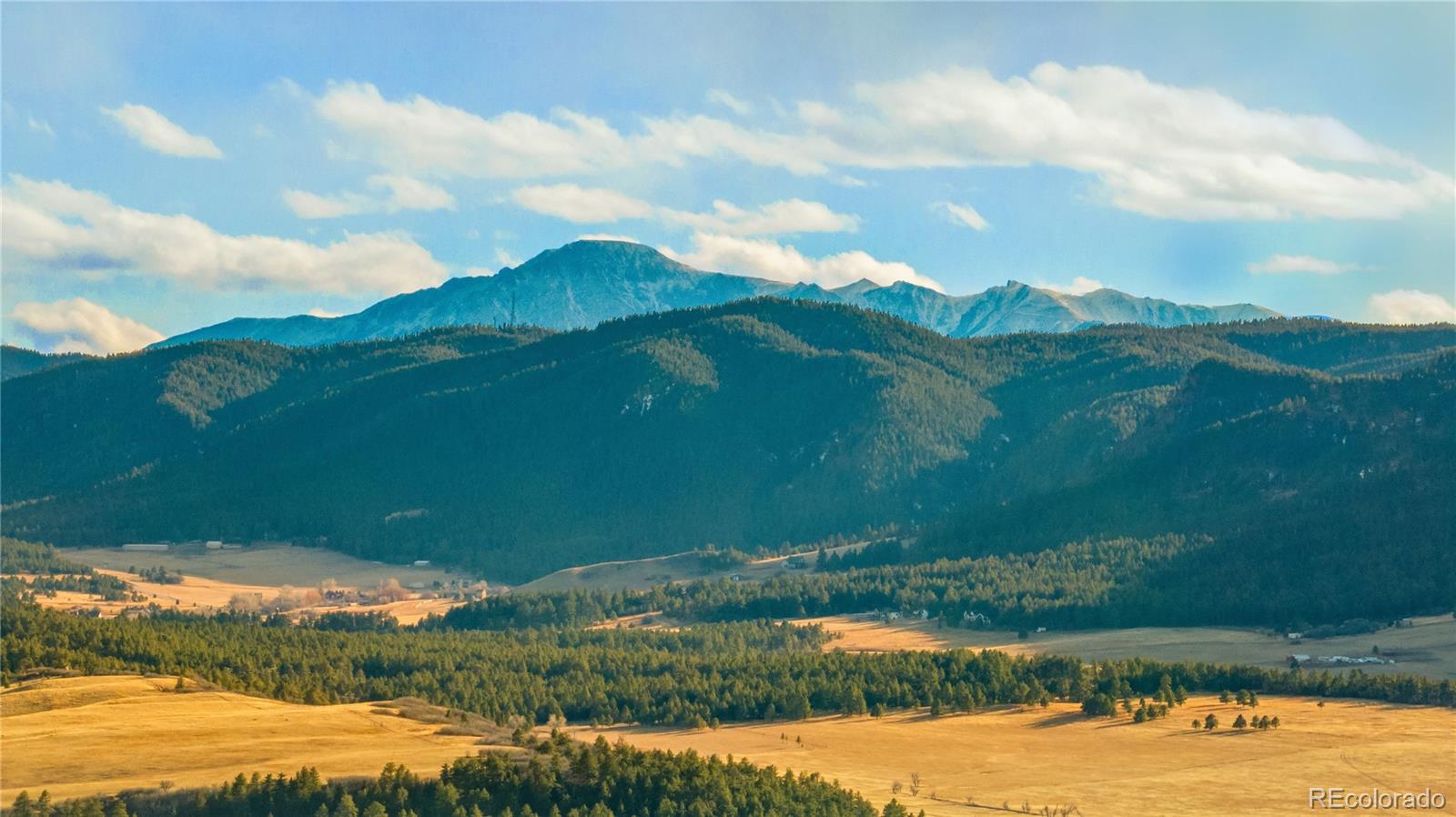 436 Fox Farm Road Larkspur CO 80118