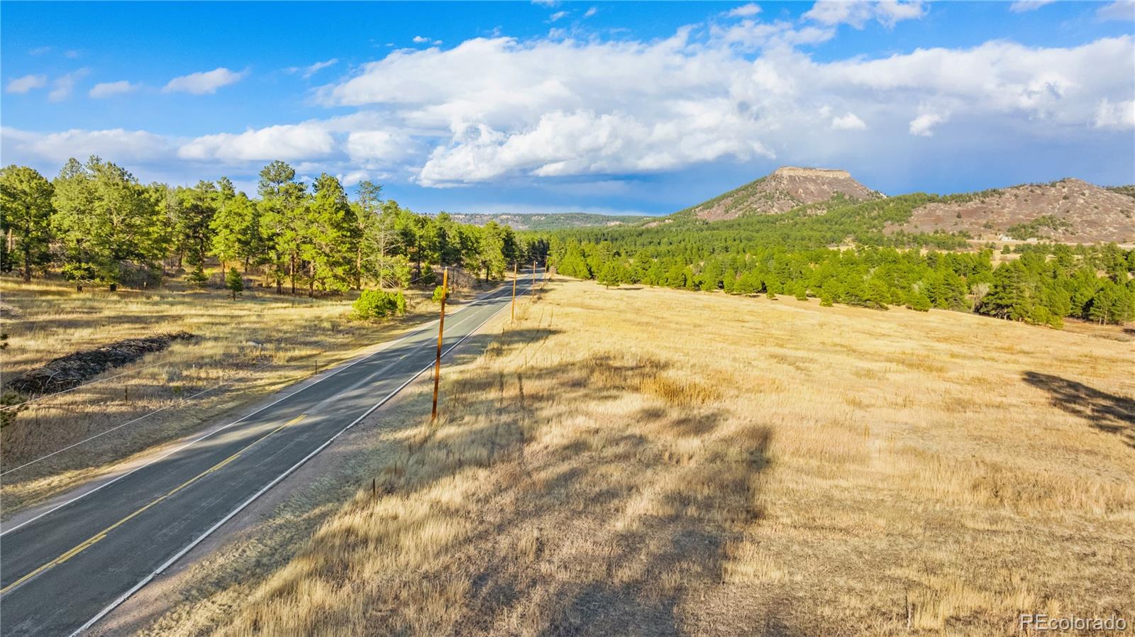 436 Fox Farm Road Larkspur CO 80118