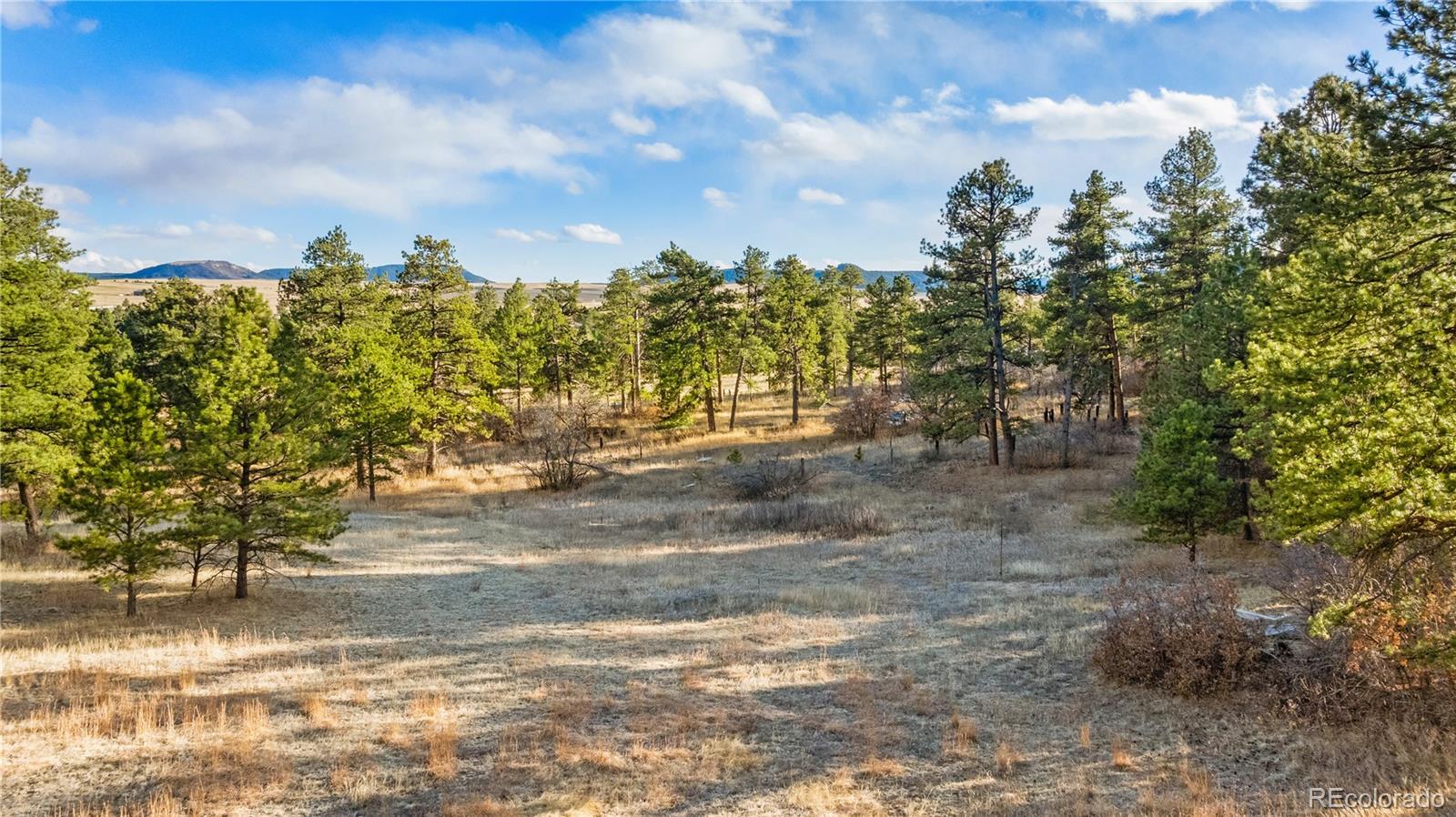 436 Fox Farm Road Larkspur CO 80118