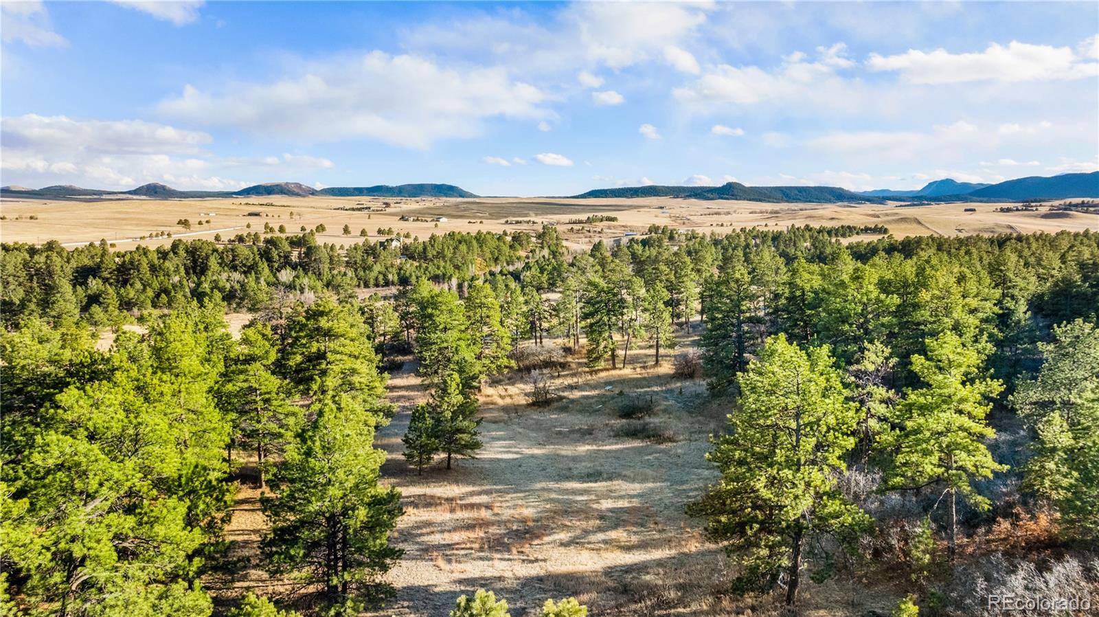 436 Fox Farm Road Larkspur CO 80118