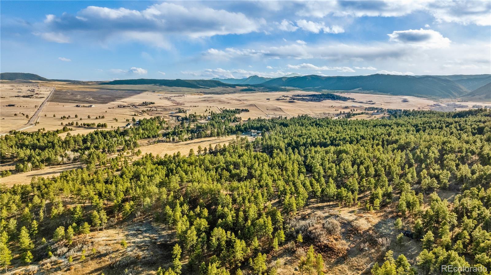 436 Fox Farm Road Larkspur CO 80118
