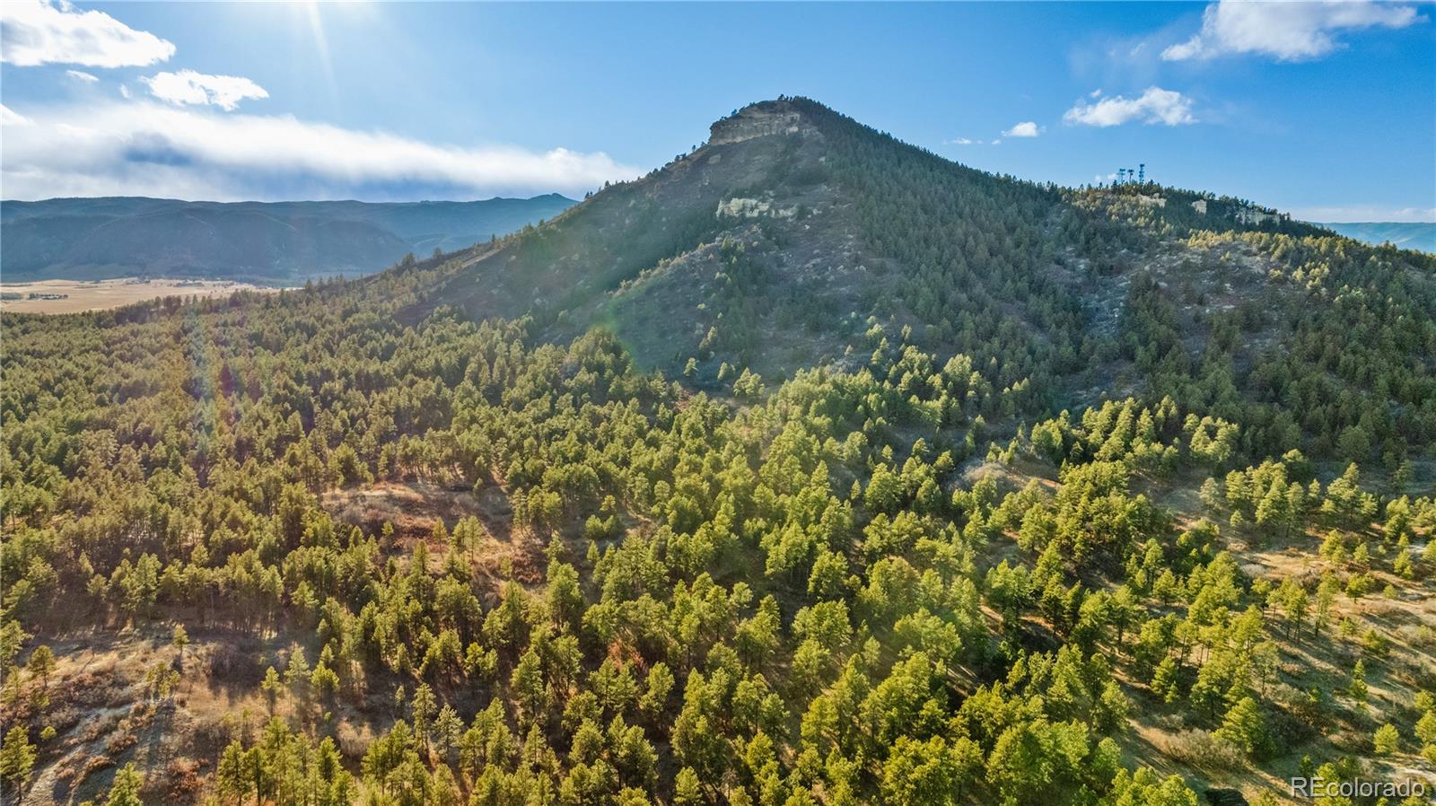 436 Fox Farm Road Larkspur CO 80118