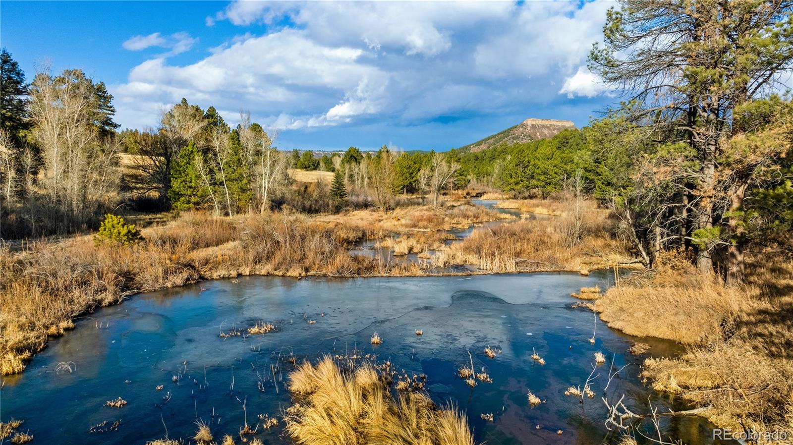 436 Fox Farm Road Larkspur CO 80118
