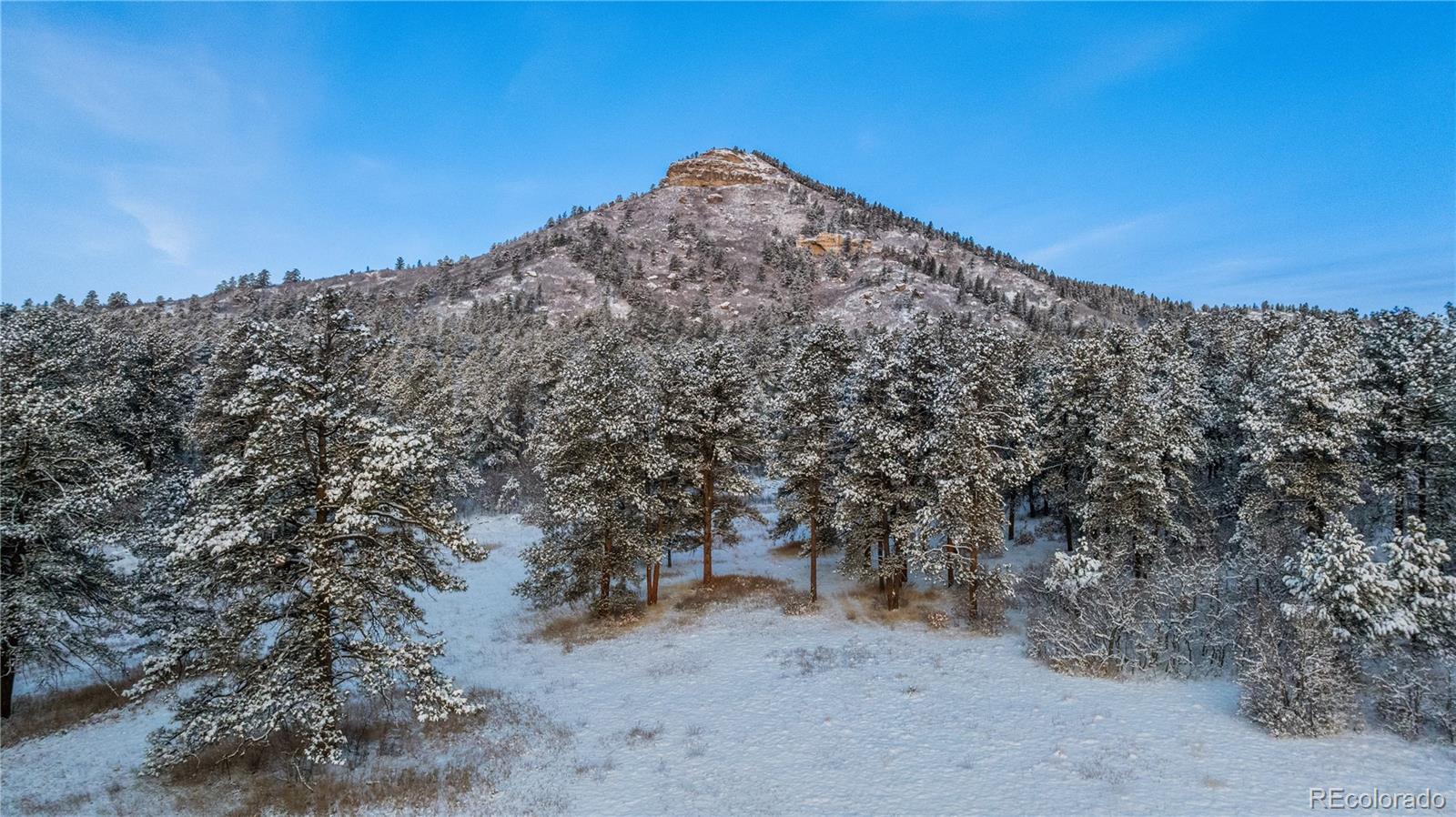 436 Fox Farm Road Larkspur CO 80118