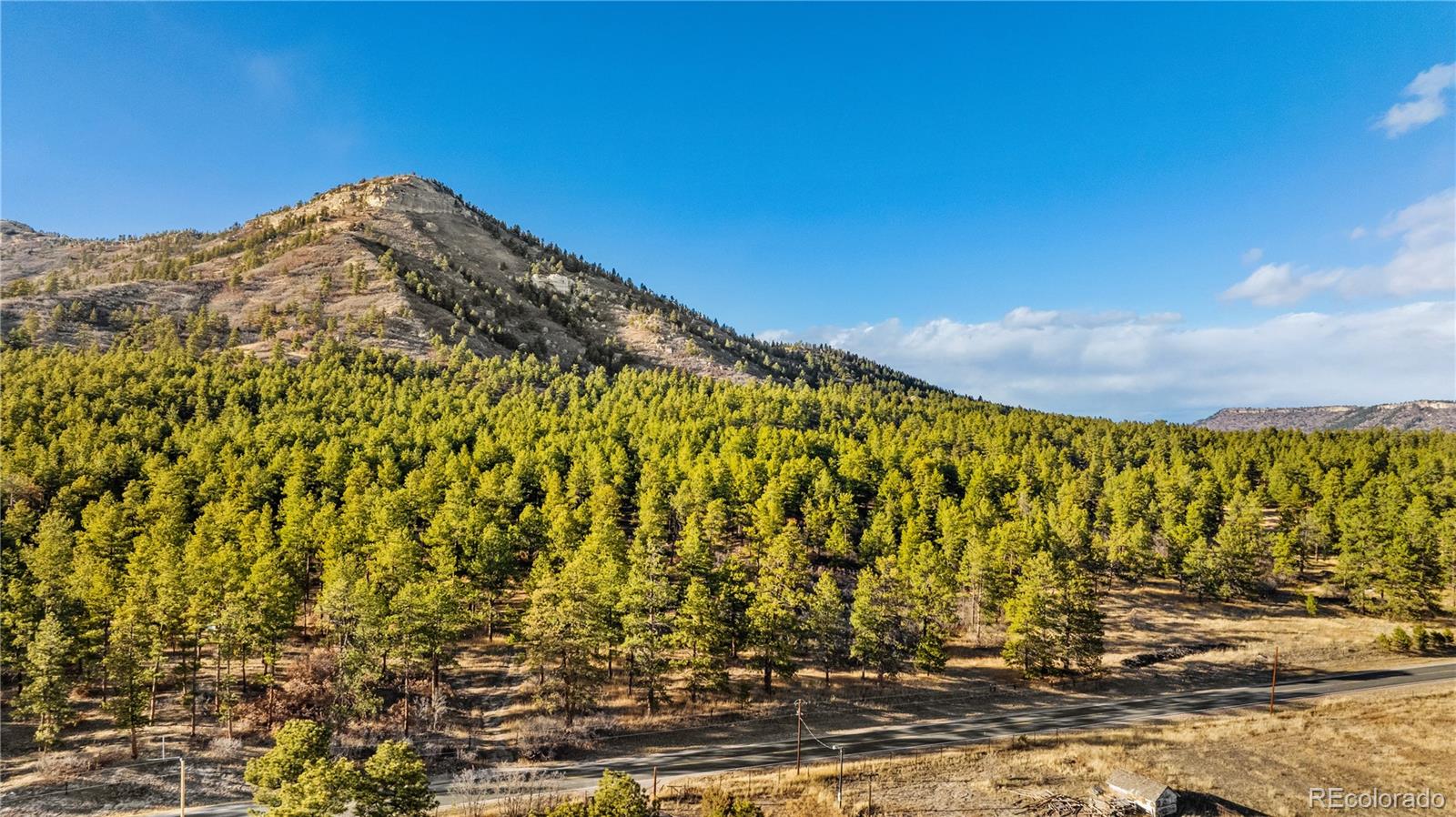 436 Fox Farm Road Larkspur CO 80118