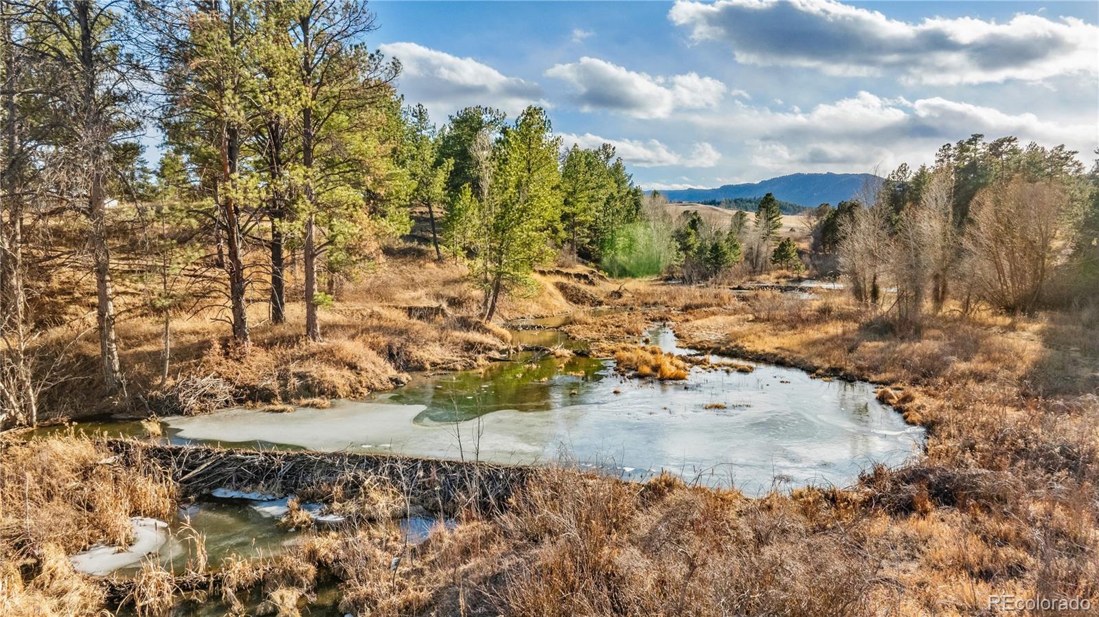 436 Fox Farm Road Larkspur CO 80118