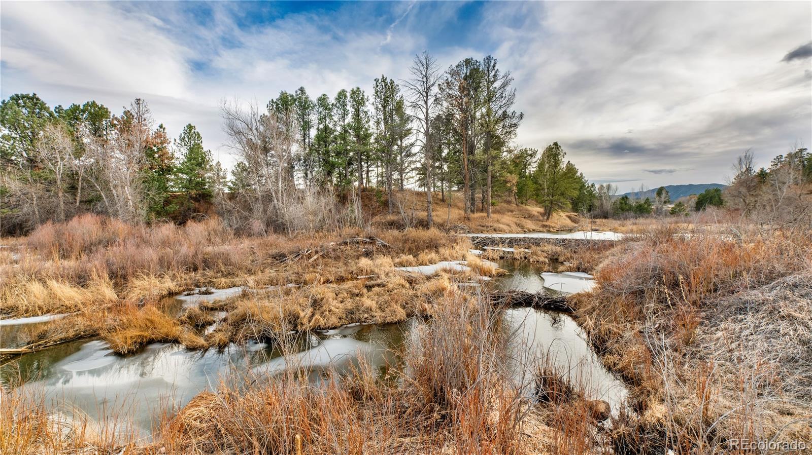 436 Fox Farm Road Larkspur CO 80118