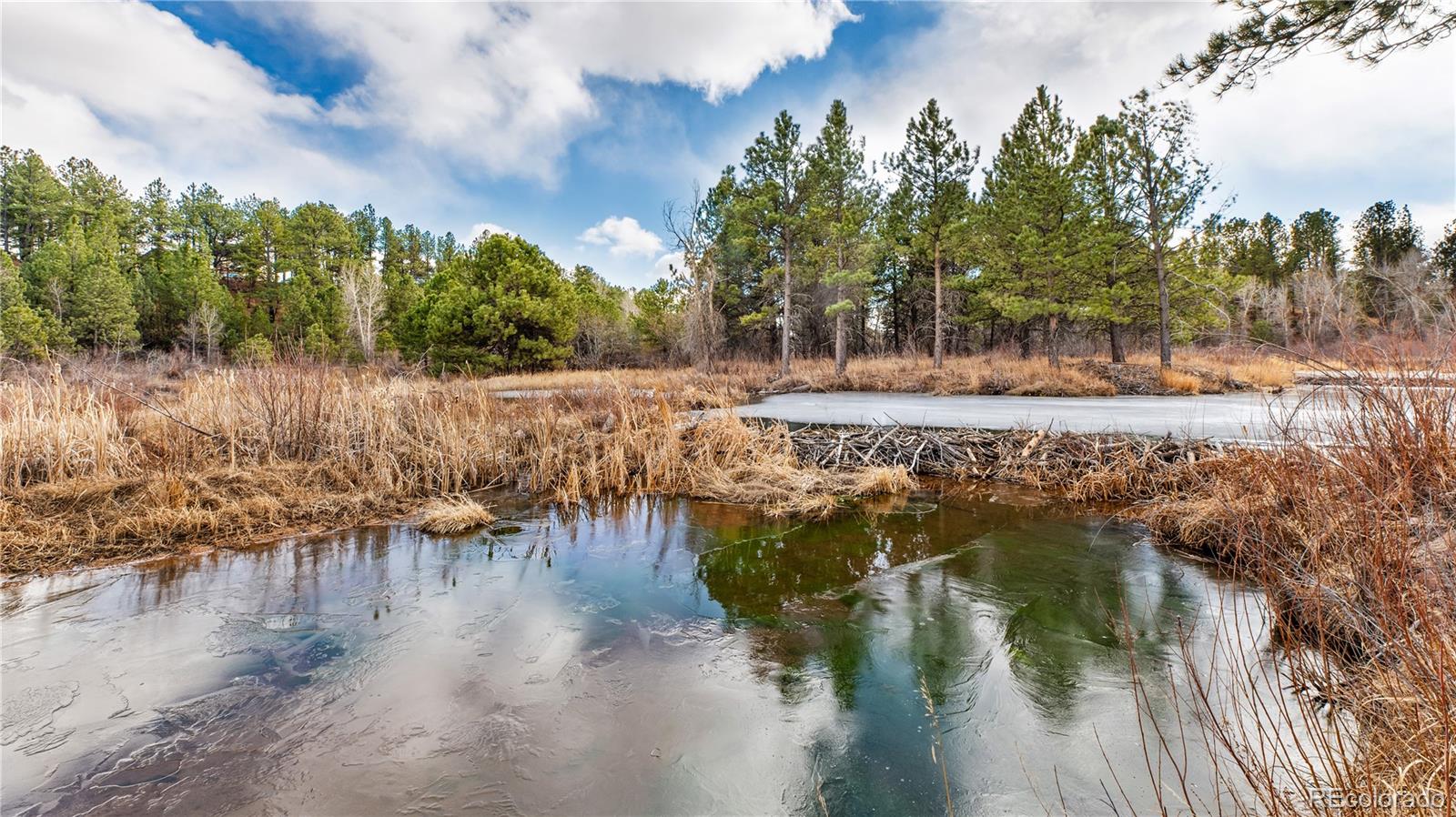 436 Fox Farm Road Larkspur CO 80118