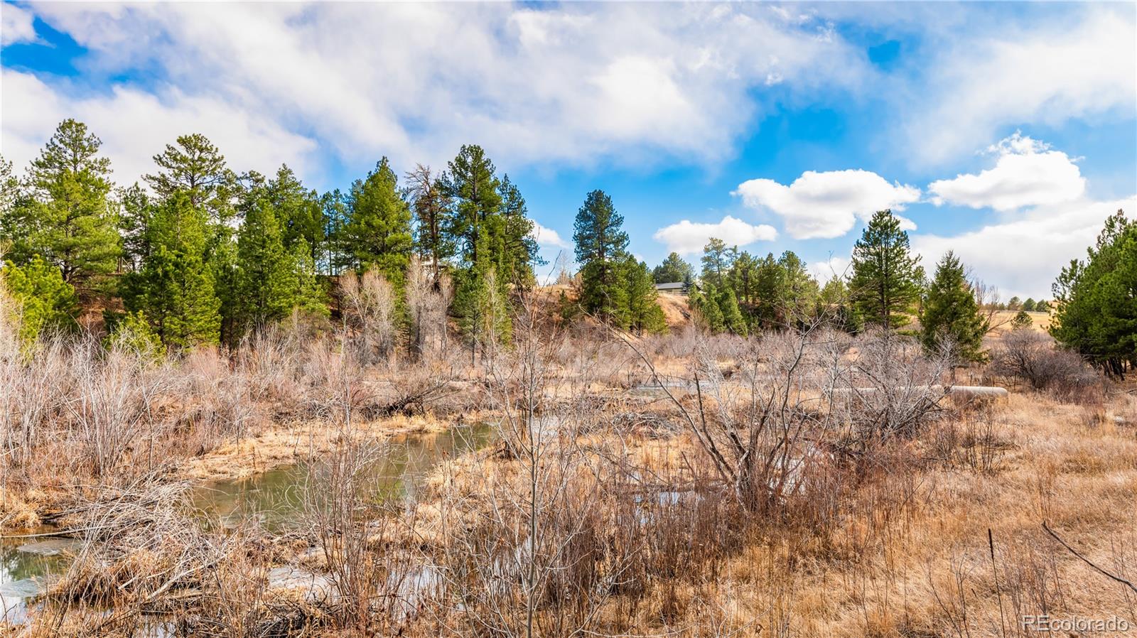 436 Fox Farm Road Larkspur CO 80118