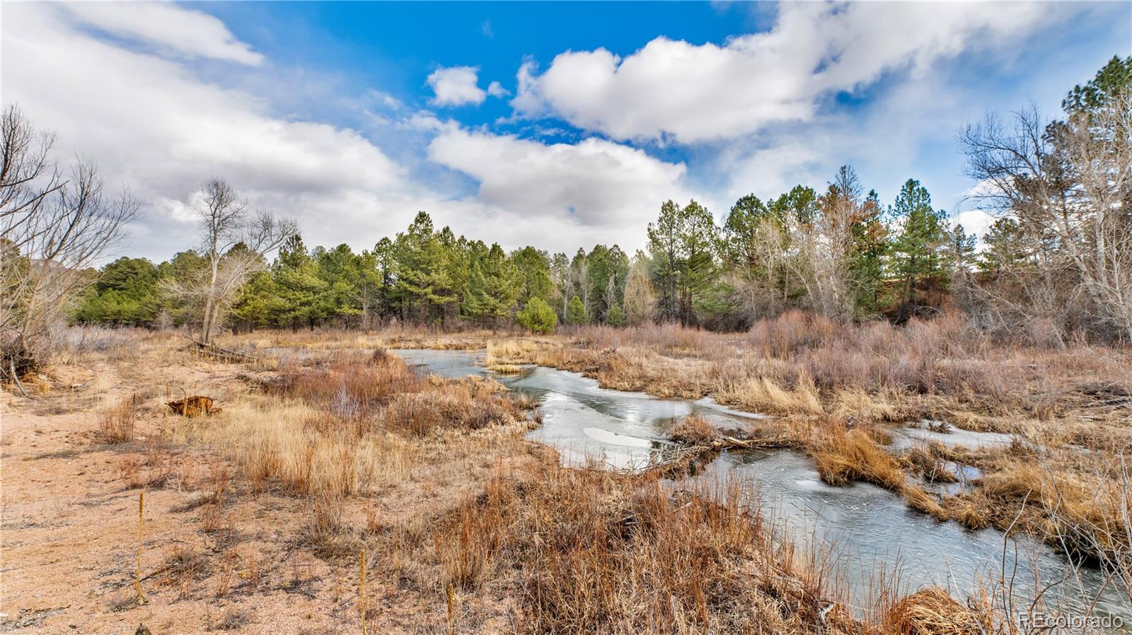 436 Fox Farm Road Larkspur CO 80118