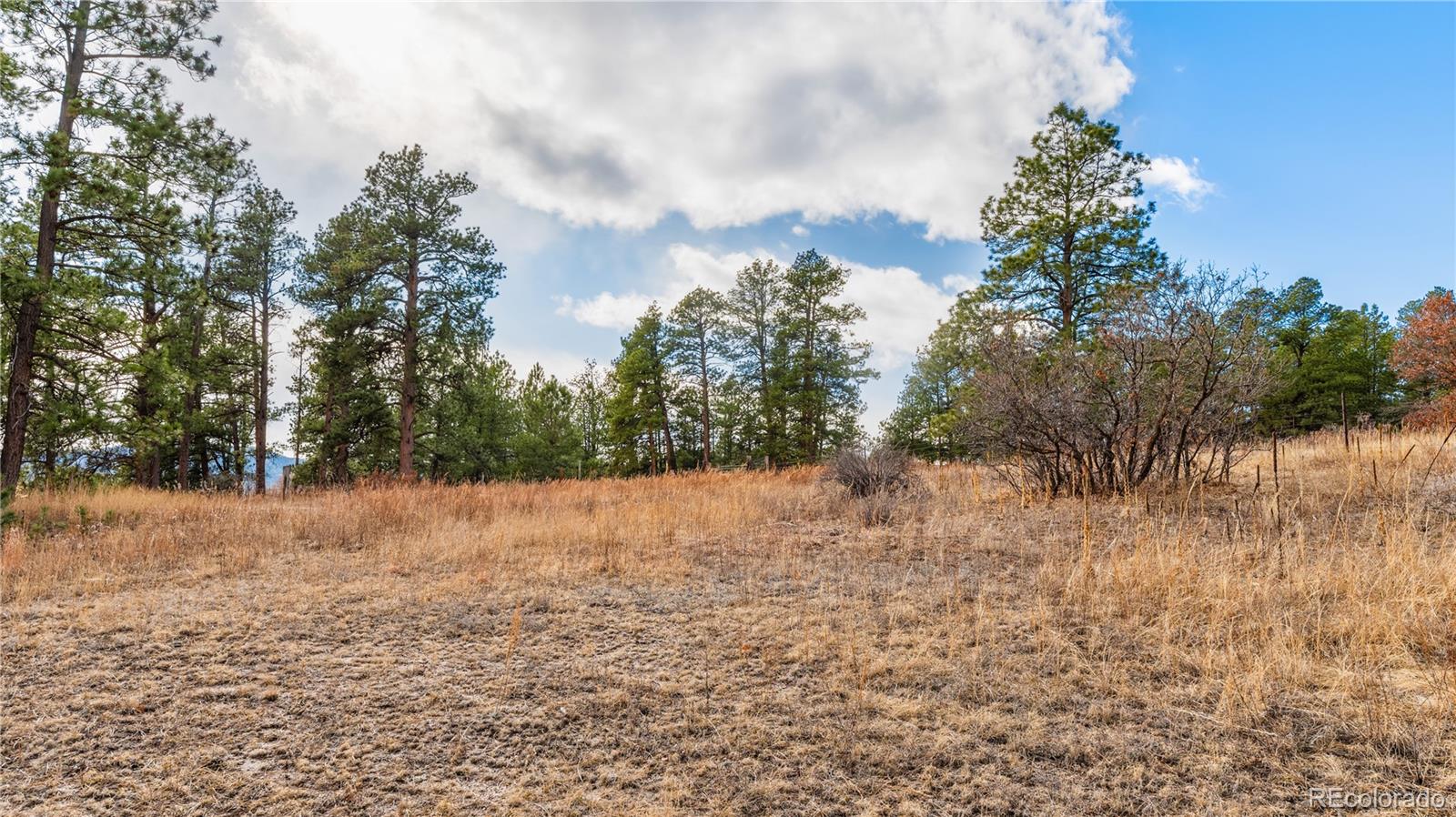 436 Fox Farm Road Larkspur CO 80118