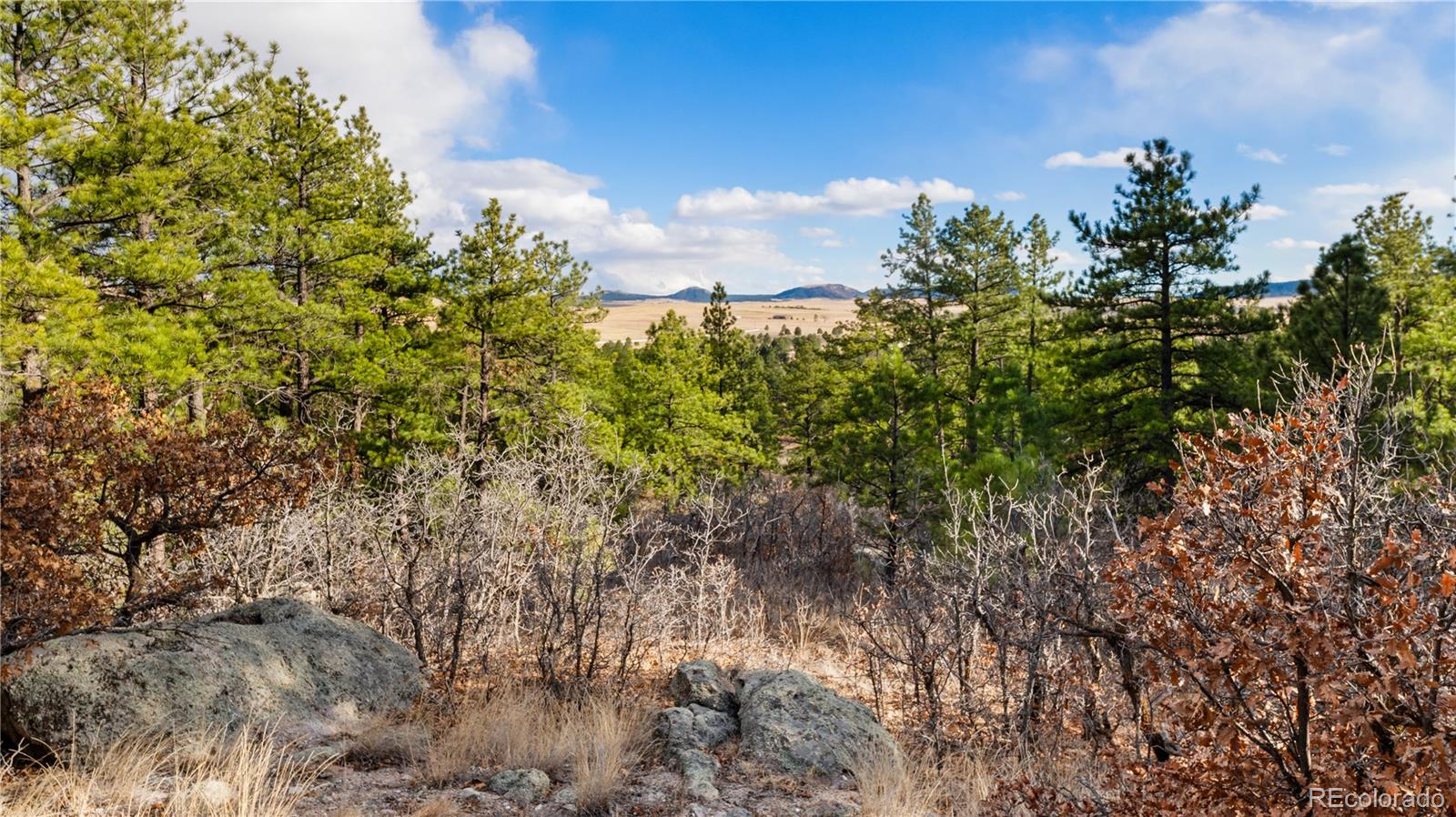 436 Fox Farm Road Larkspur CO 80118
