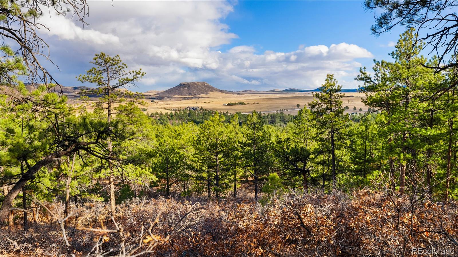 436 Fox Farm Road Larkspur CO 80118