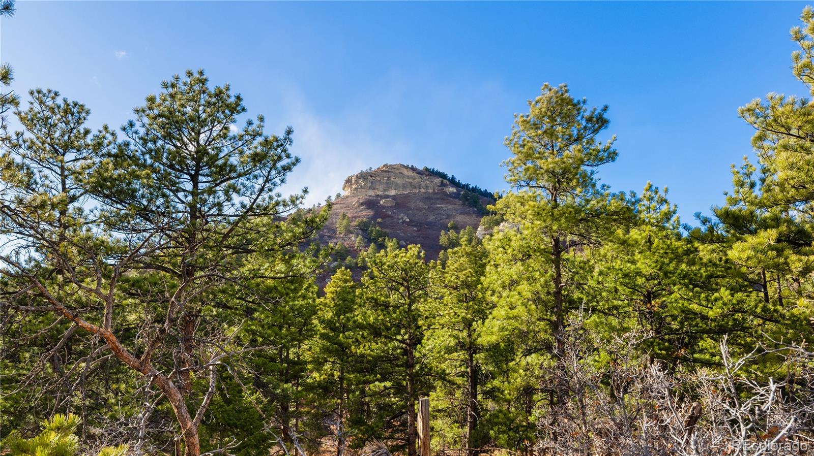 436 Fox Farm Road Larkspur CO 80118