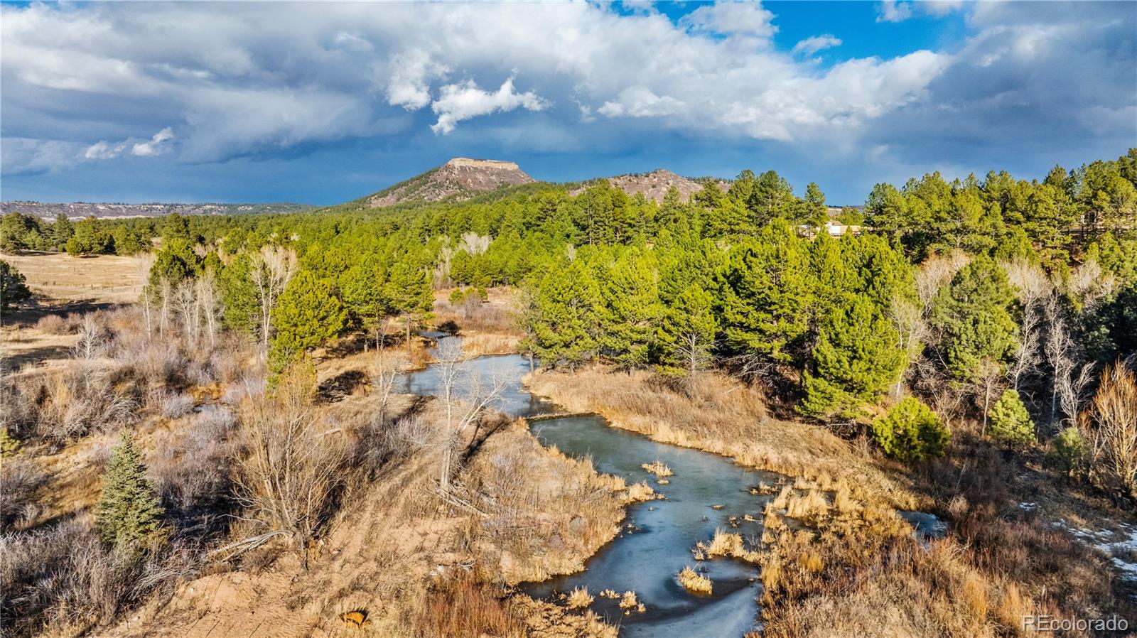 436 Fox Farm Road Larkspur CO 80118