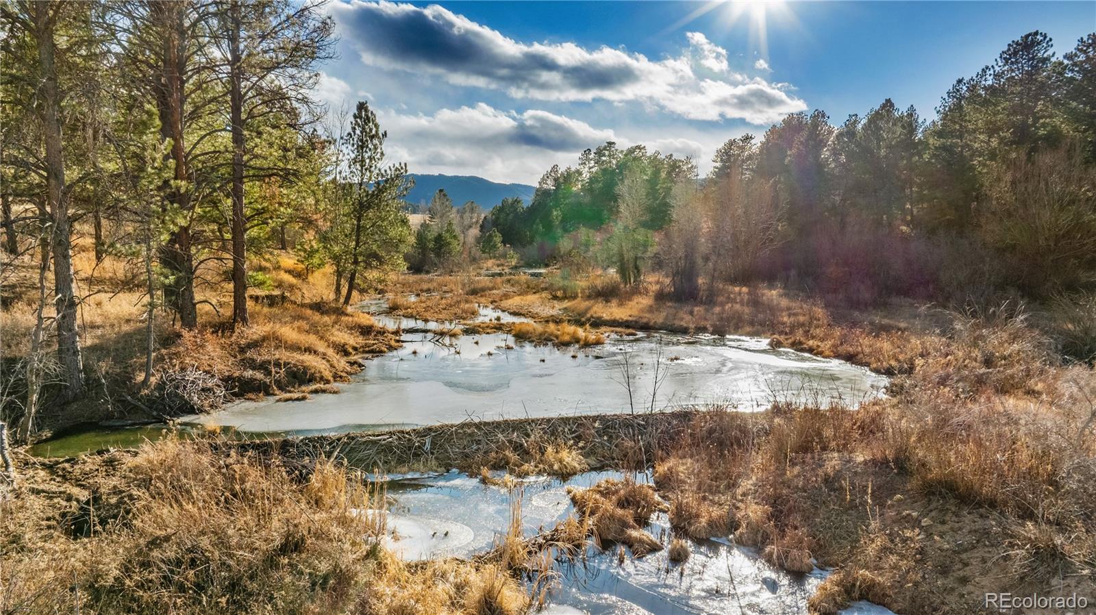 436 Fox Farm Road Larkspur CO 80118