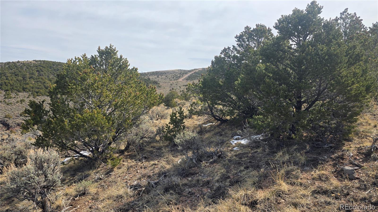 Lot 4536 Sarnoff Road Fort Garland CO 81133