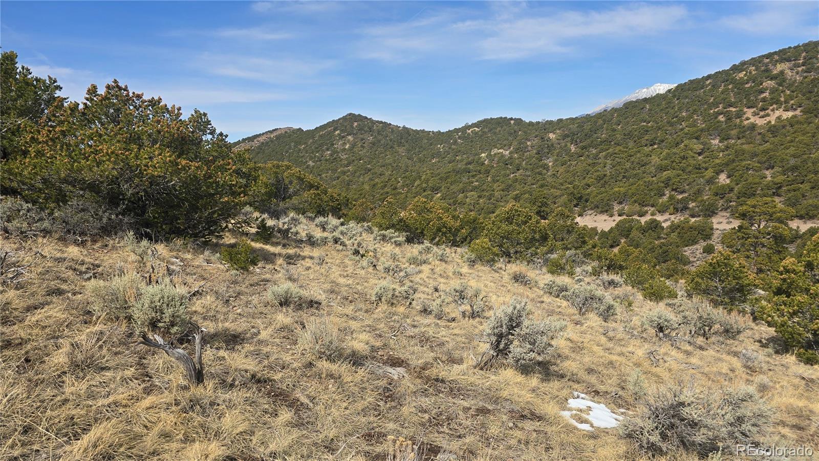 Lot 4536 Sarnoff Road Fort Garland CO 81133