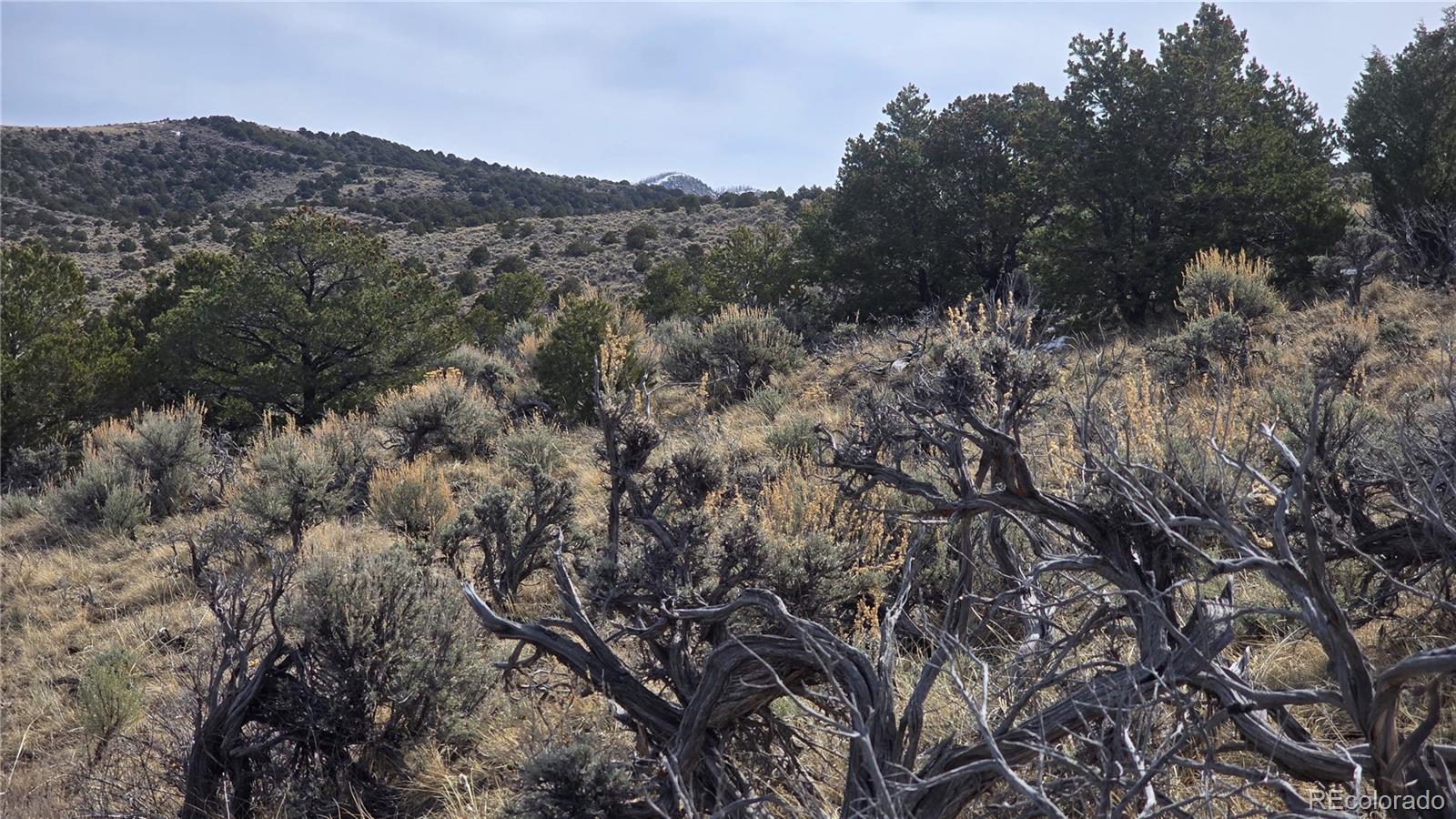 Lot 4536 Sarnoff Road Fort Garland CO 81133