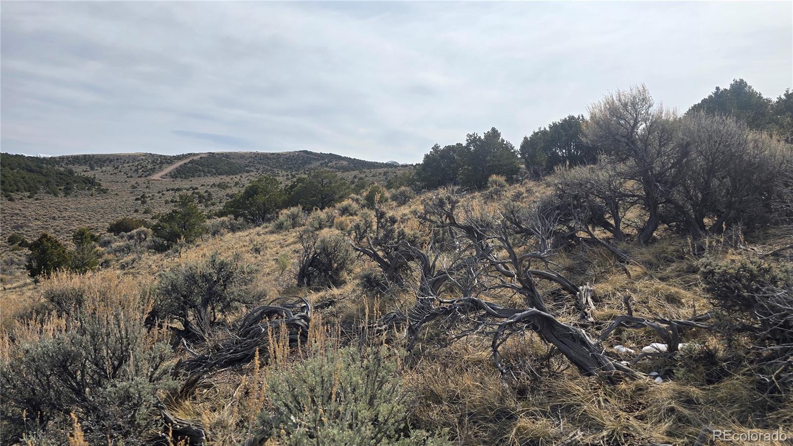 Lot 4536 Sarnoff Road Fort Garland CO 81133