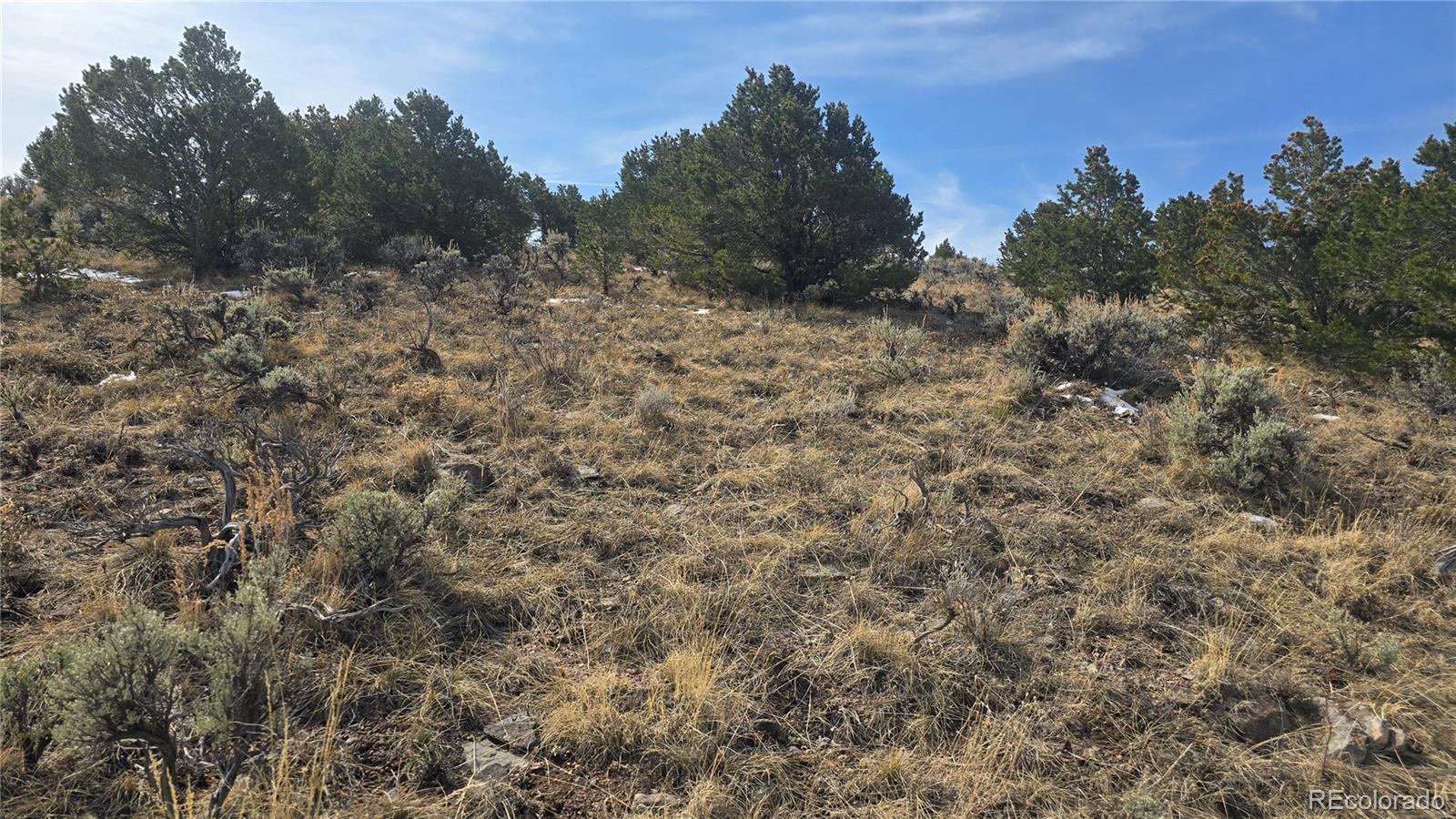 Lot 4536 Sarnoff Road Fort Garland CO 81133