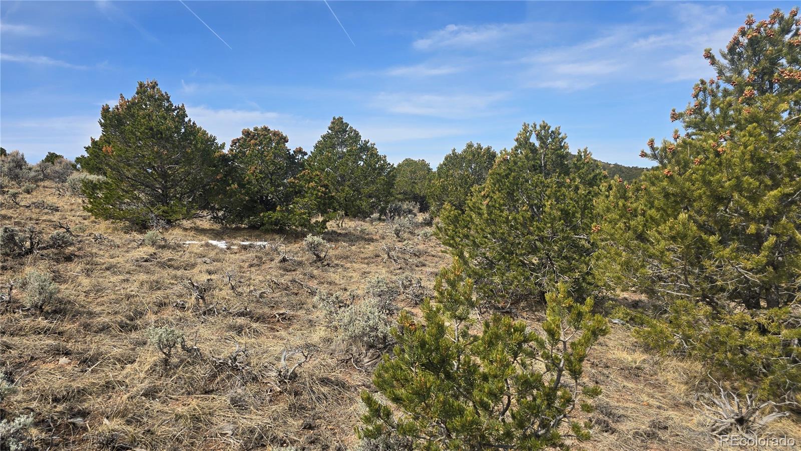 Lot 4536 Sarnoff Road Fort Garland CO 81133