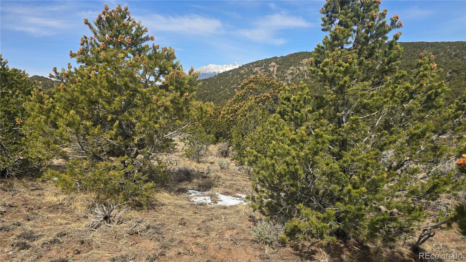 Lot 4536 Sarnoff Road Fort Garland CO 81133