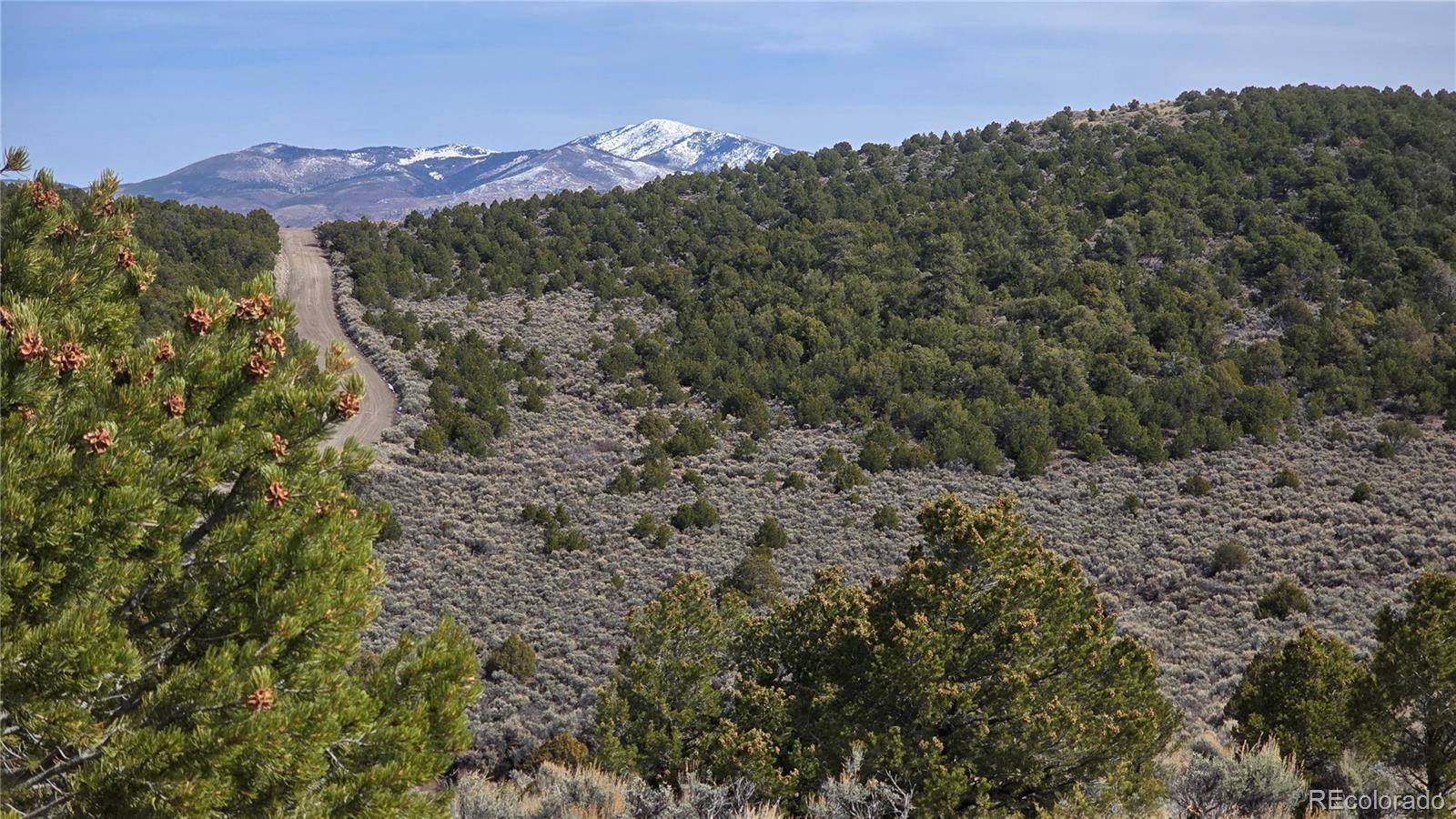 Lot 4536 Sarnoff Road Fort Garland CO 81133