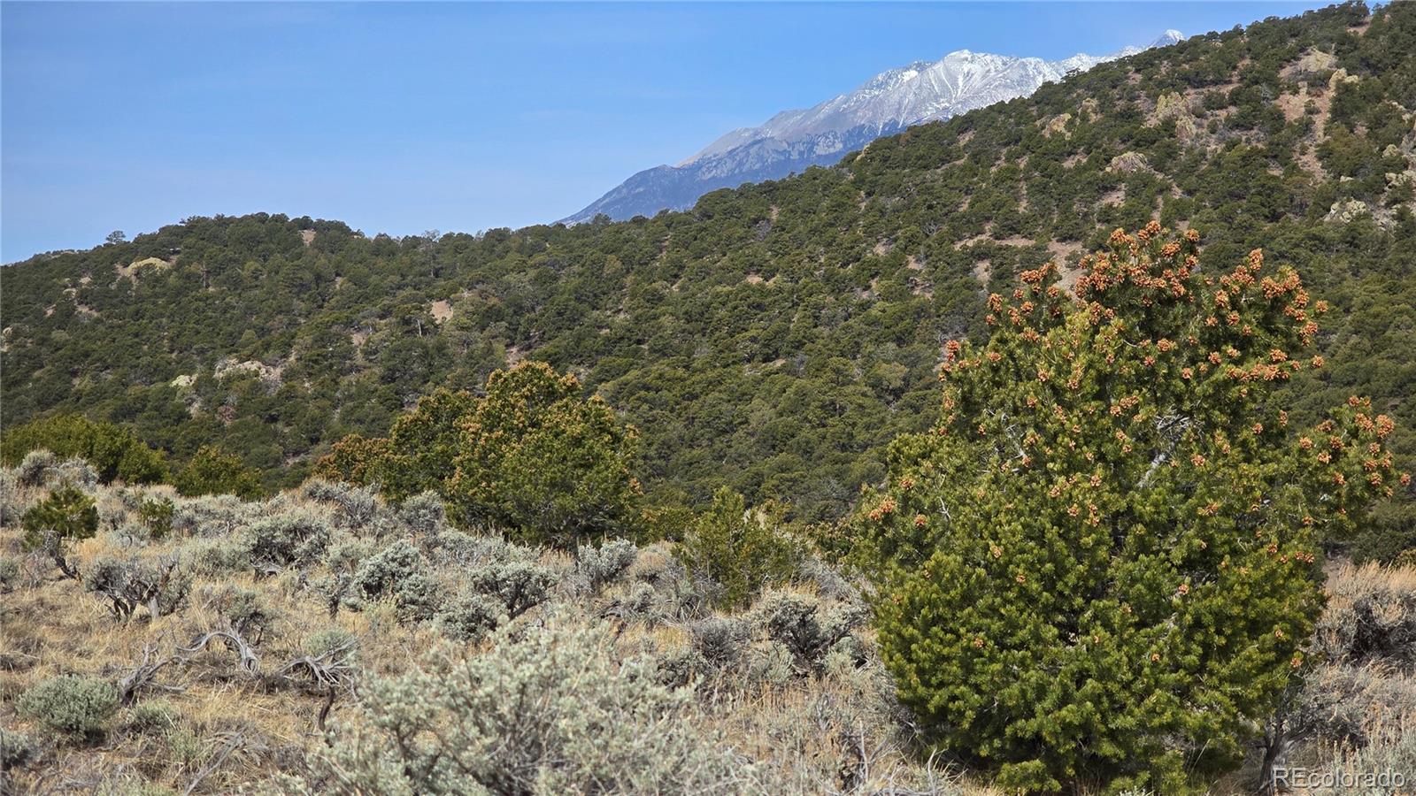 Lot 4536 Sarnoff Road Fort Garland CO 81133