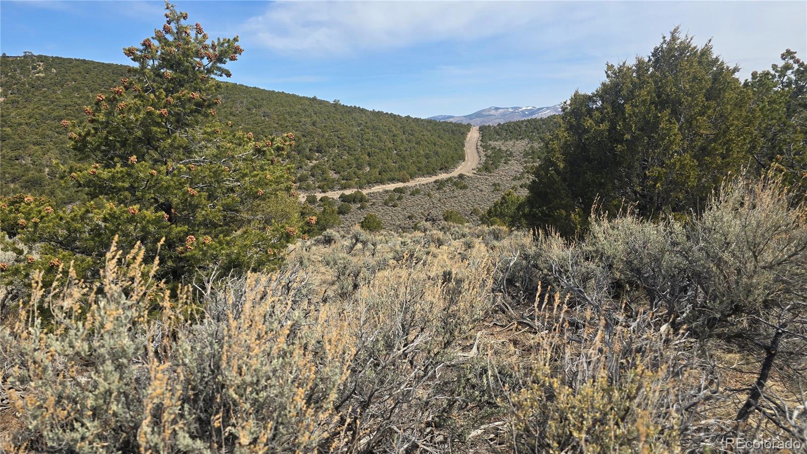 Lot 4536 Sarnoff Road Fort Garland CO 81133