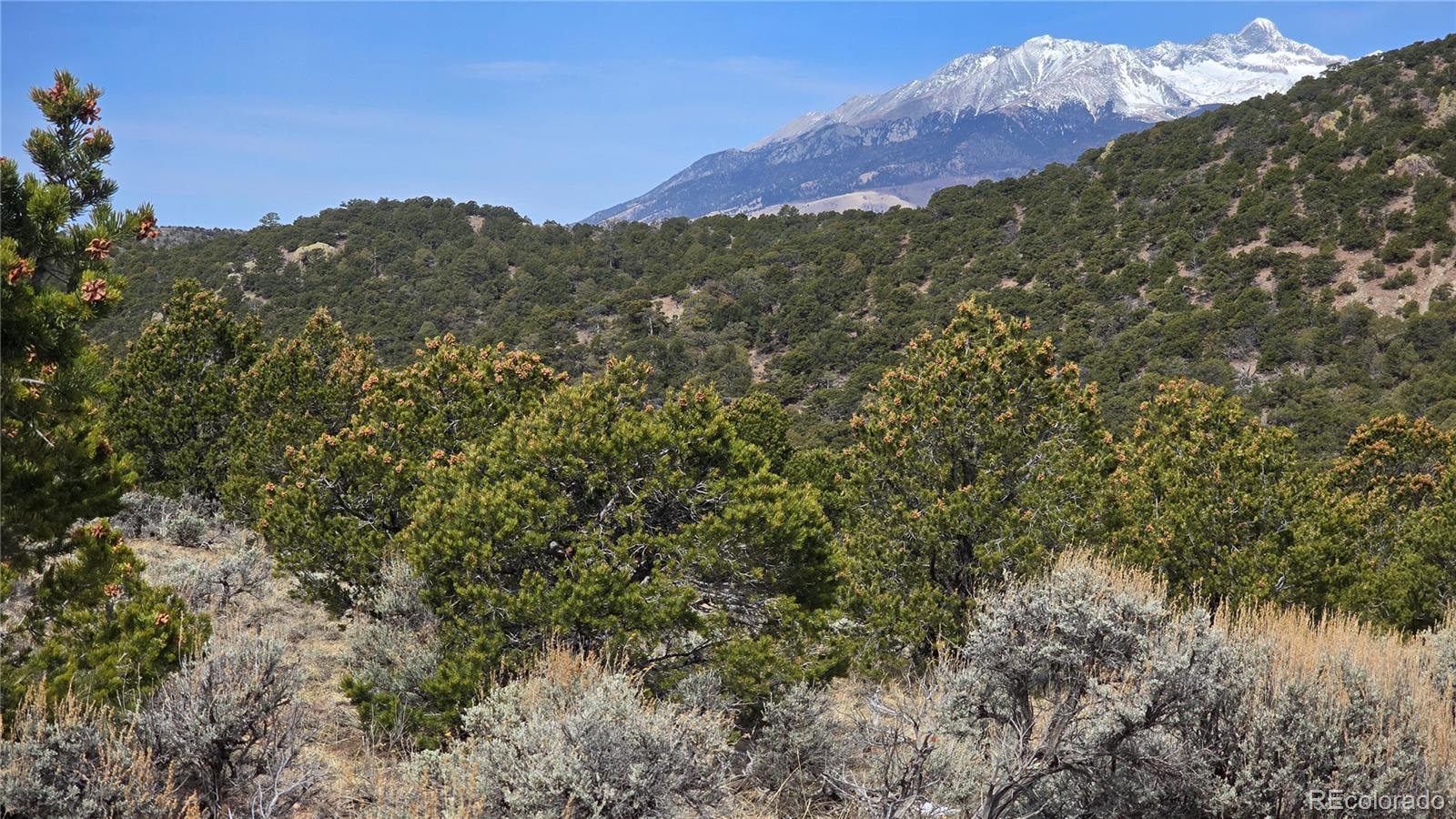 Lot 4536 Sarnoff Road Fort Garland CO 81133
