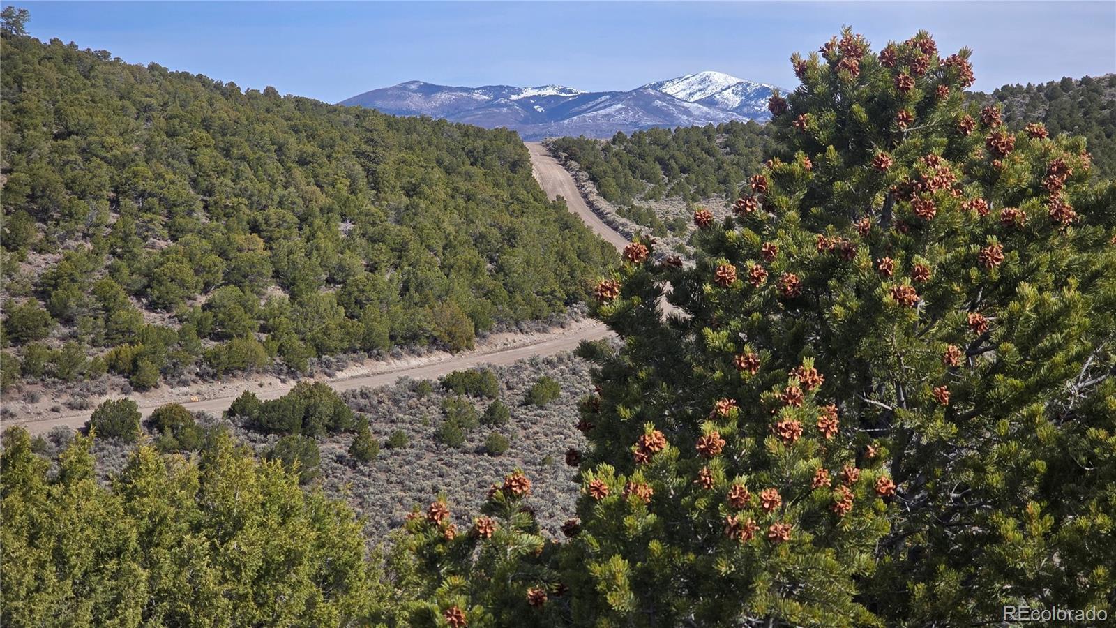Lot 4536 Sarnoff Road Fort Garland CO 81133
