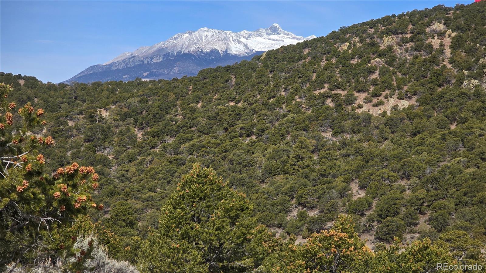 Lot 4536 Sarnoff Road Fort Garland CO 81133