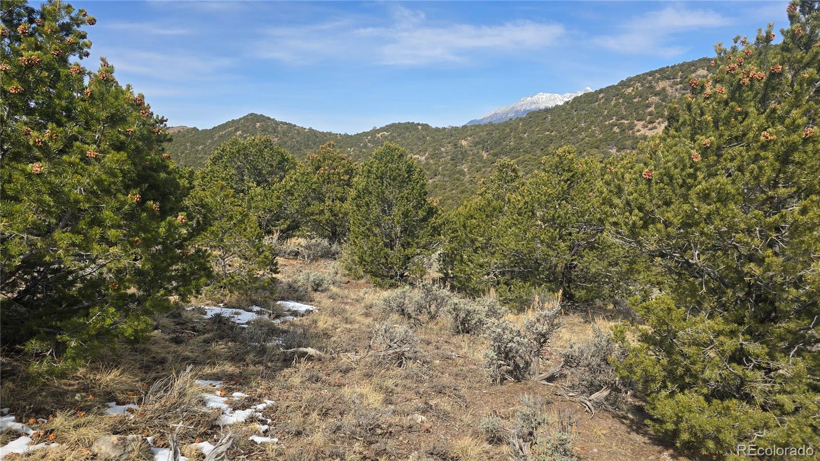 Lot 4536 Sarnoff Road Fort Garland CO 81133