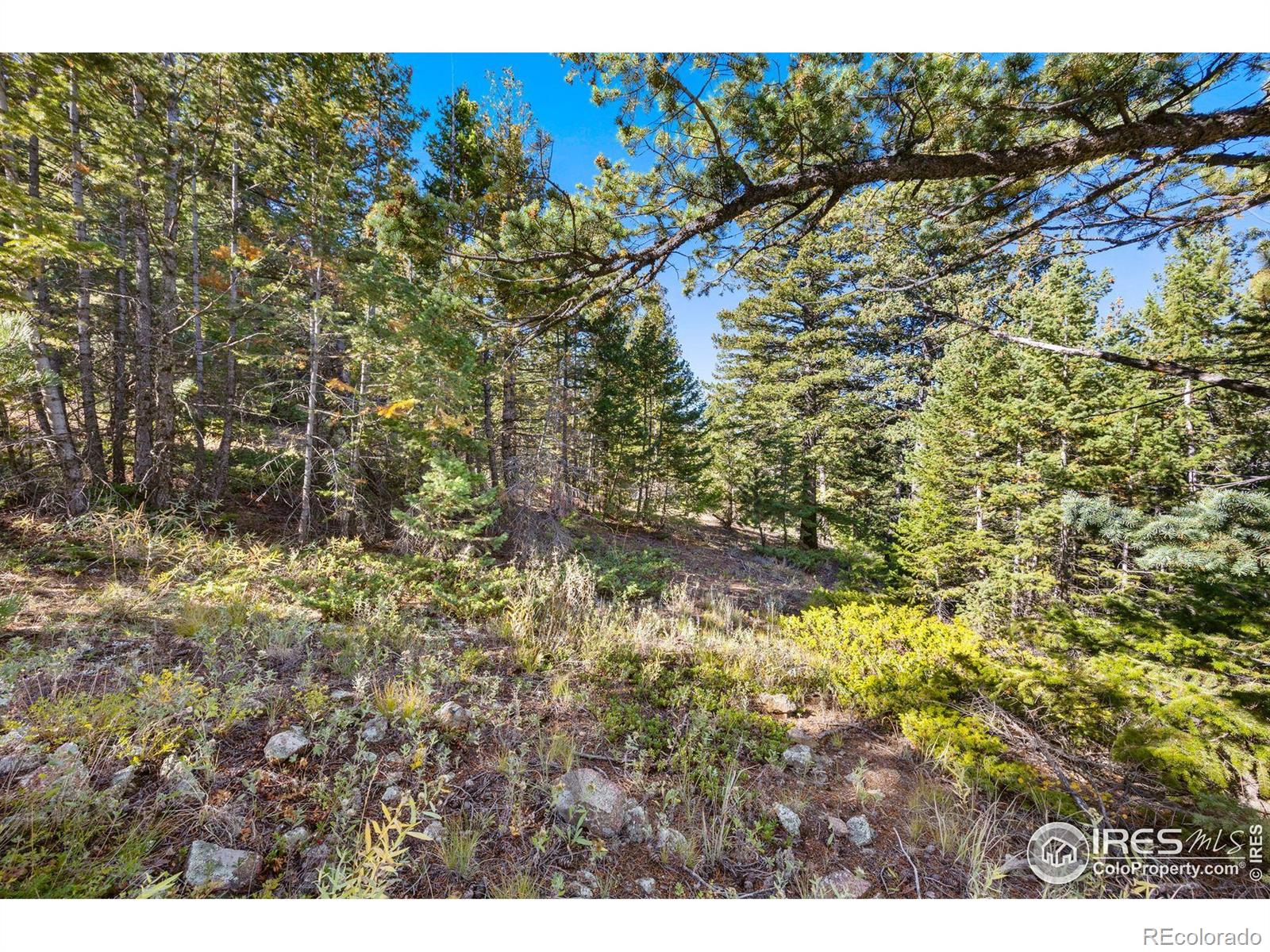323 Roxbury Drive Boulder CO 80302