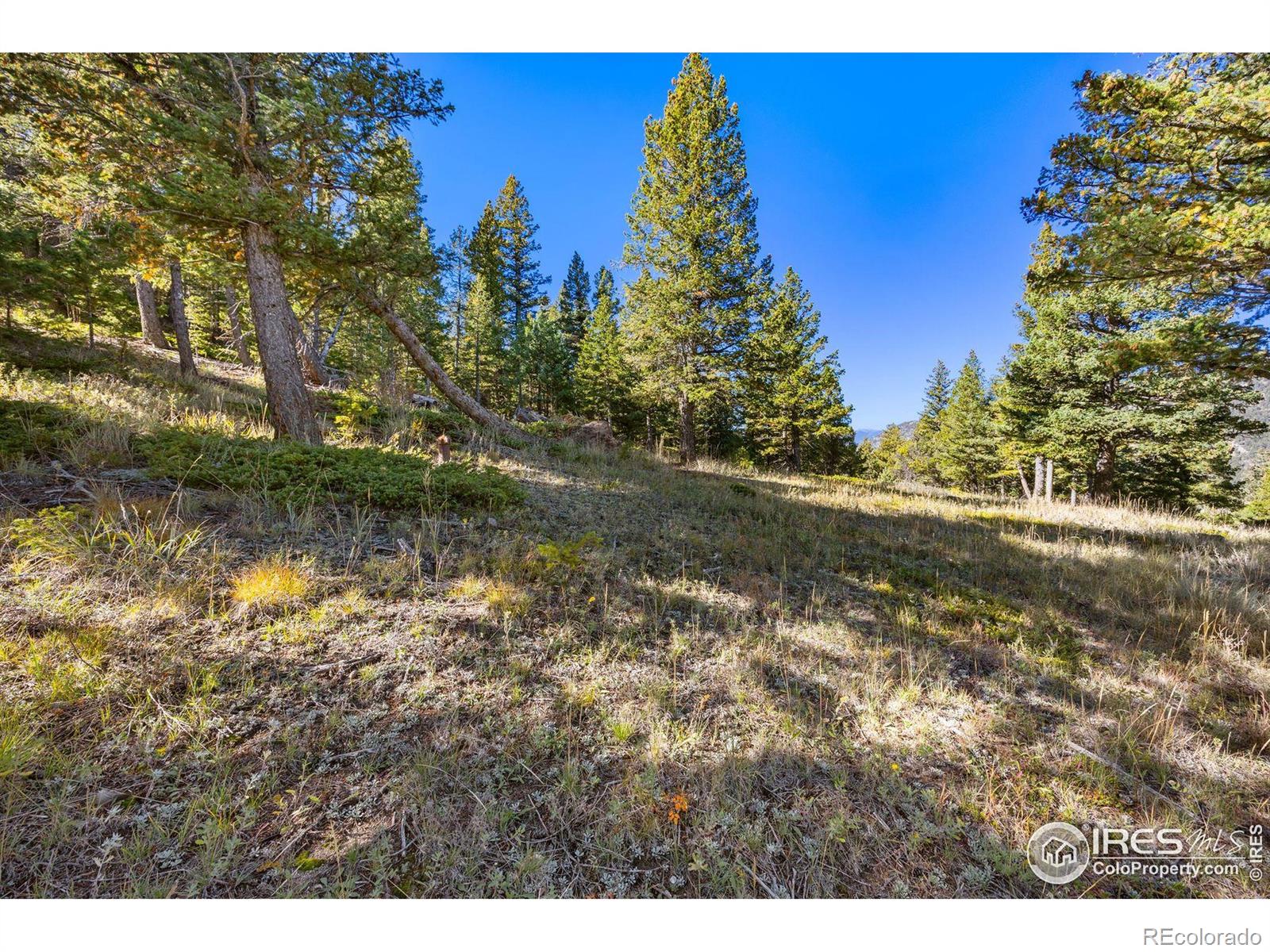 323 Roxbury Drive Boulder CO 80302