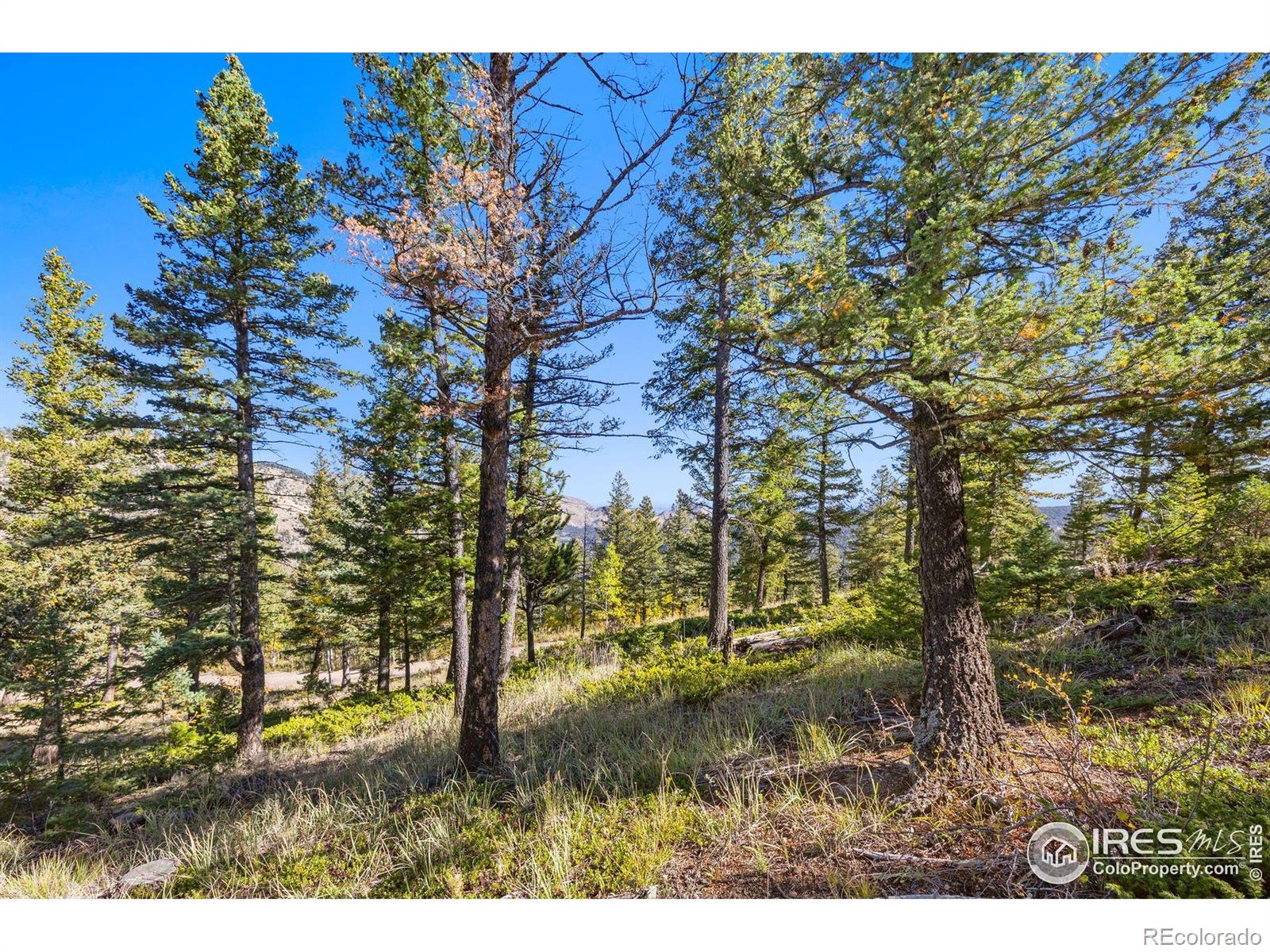 323 Roxbury Drive Boulder CO 80302